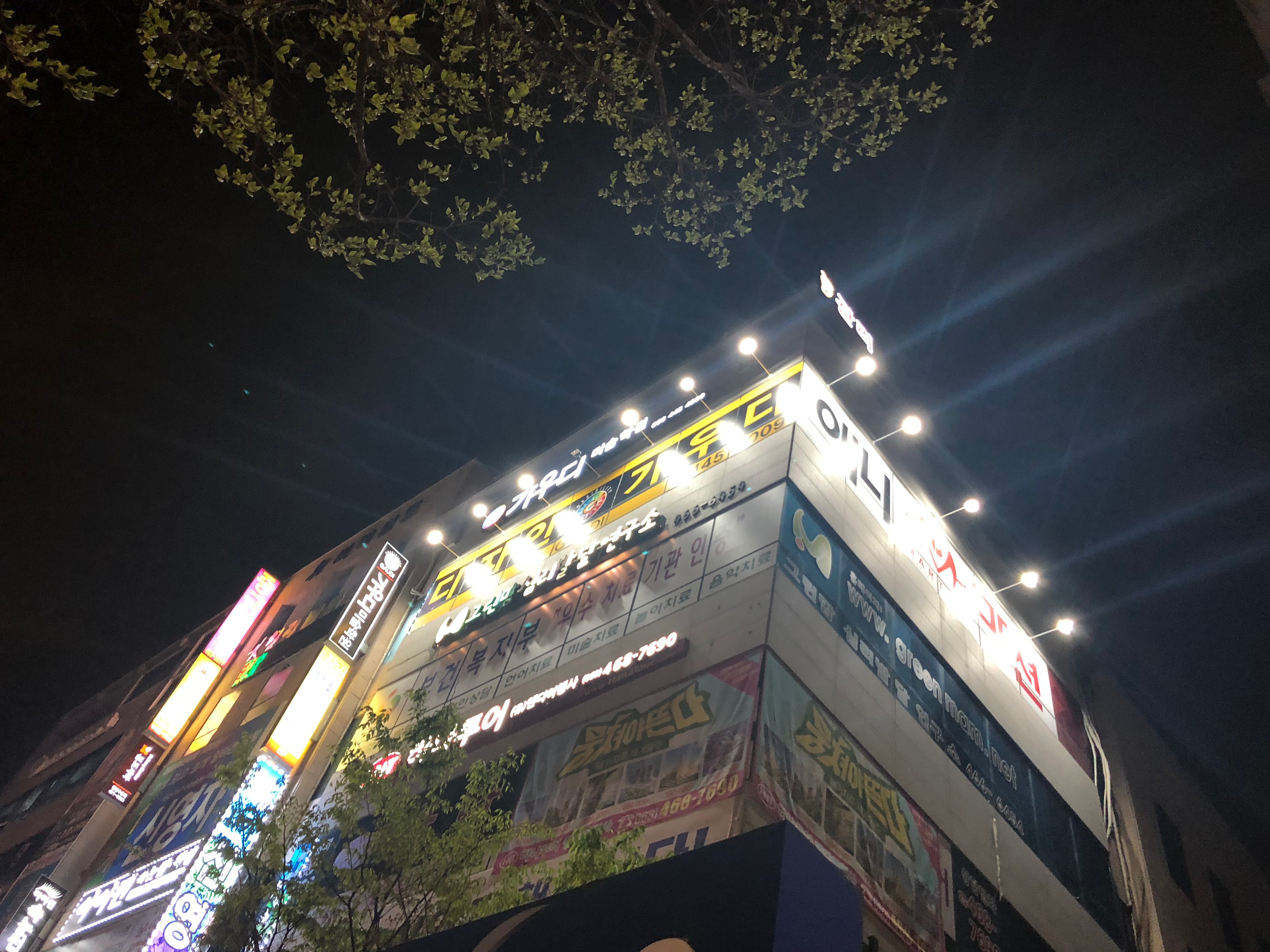 가우디미술학원 군산캠퍼스