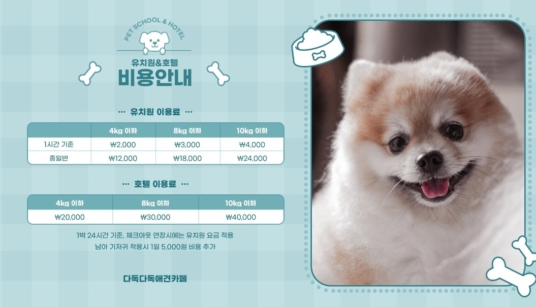 다독다독 애견카페 반려동물 동반 애견카페
