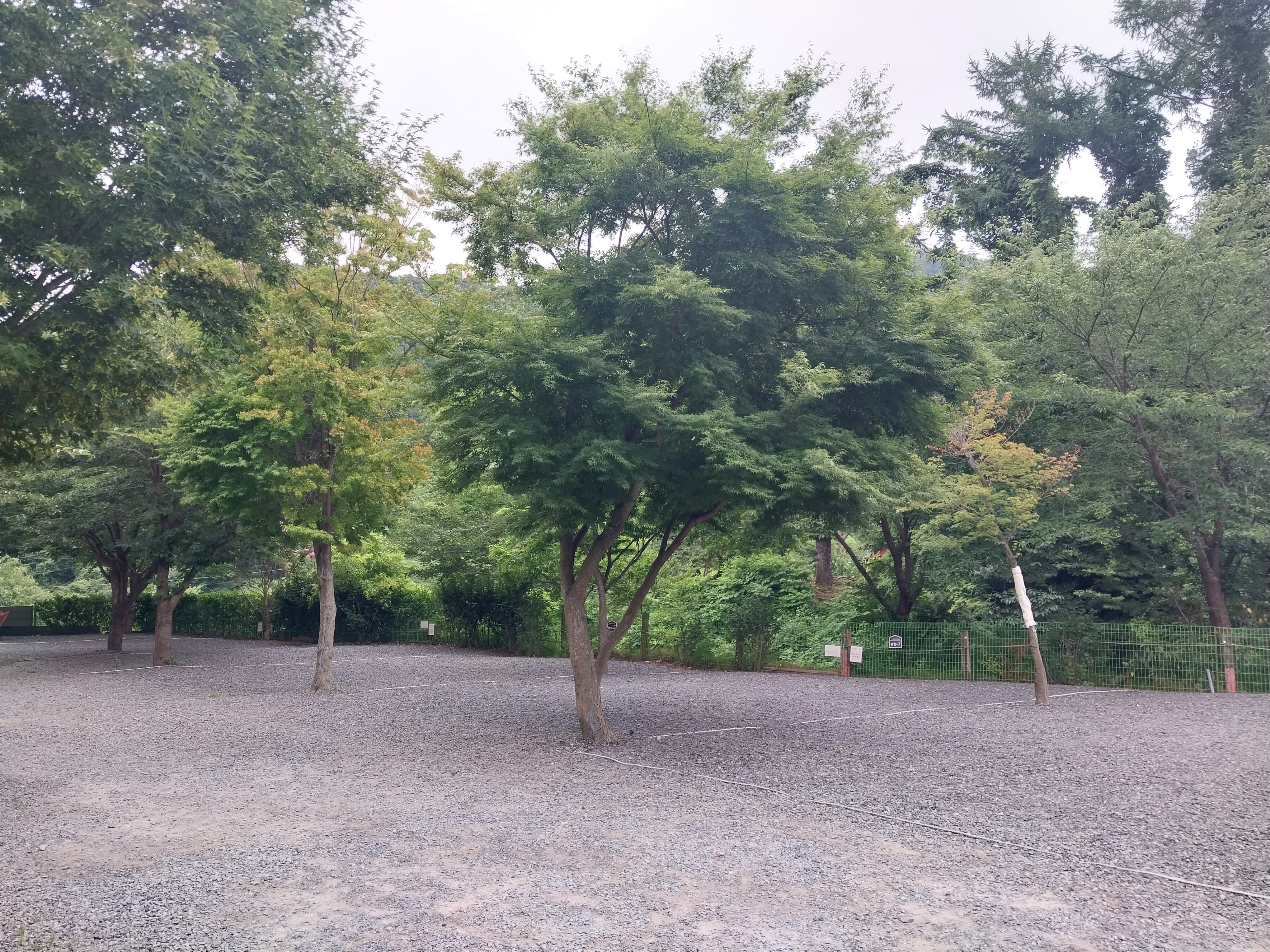 산내별빛오토캠핑장