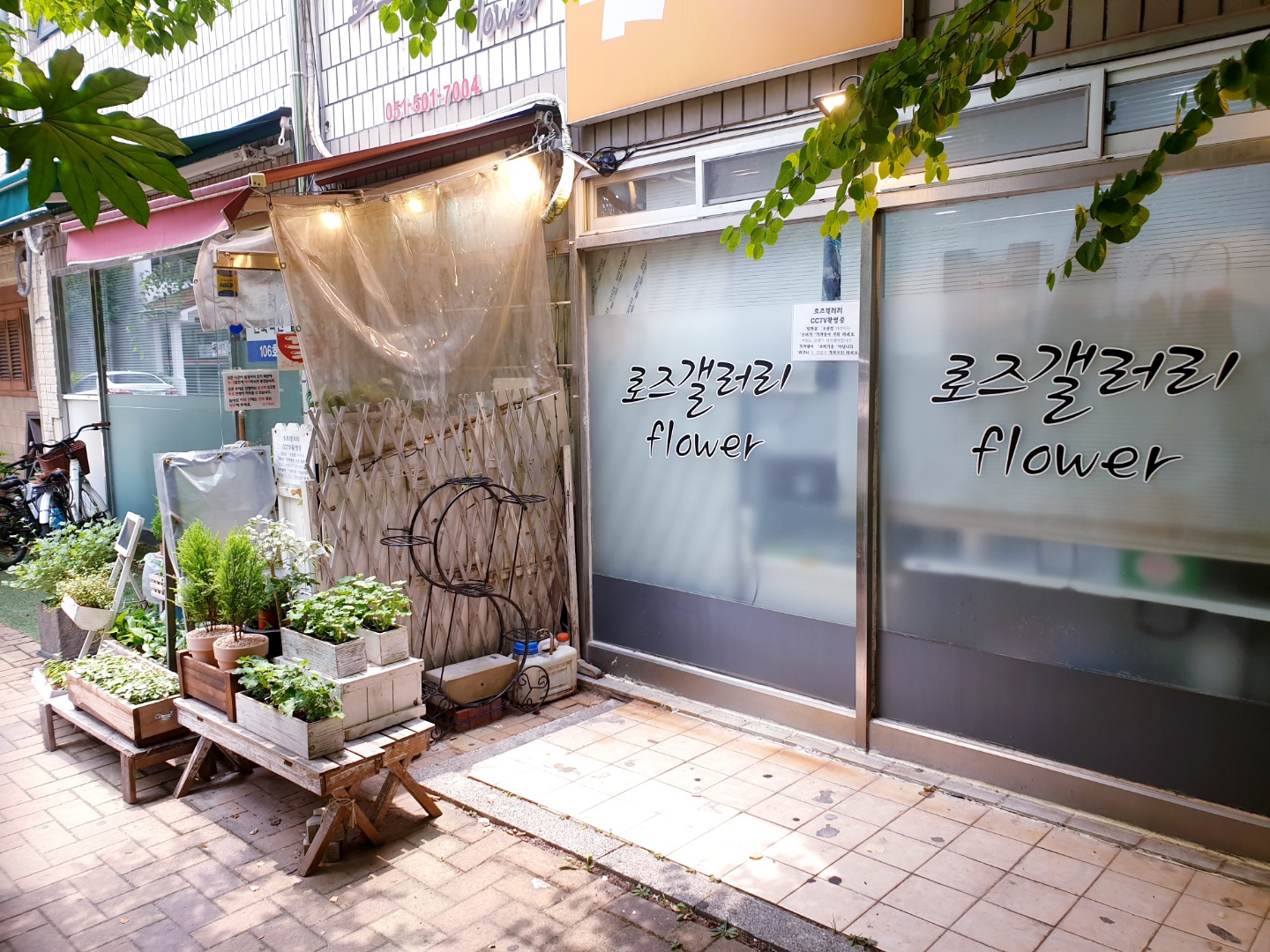 로즈갤러리