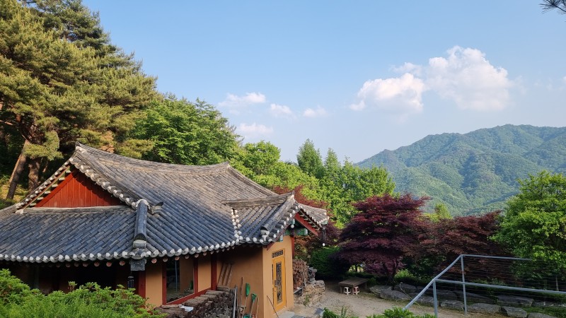 라온밸리캠핑장