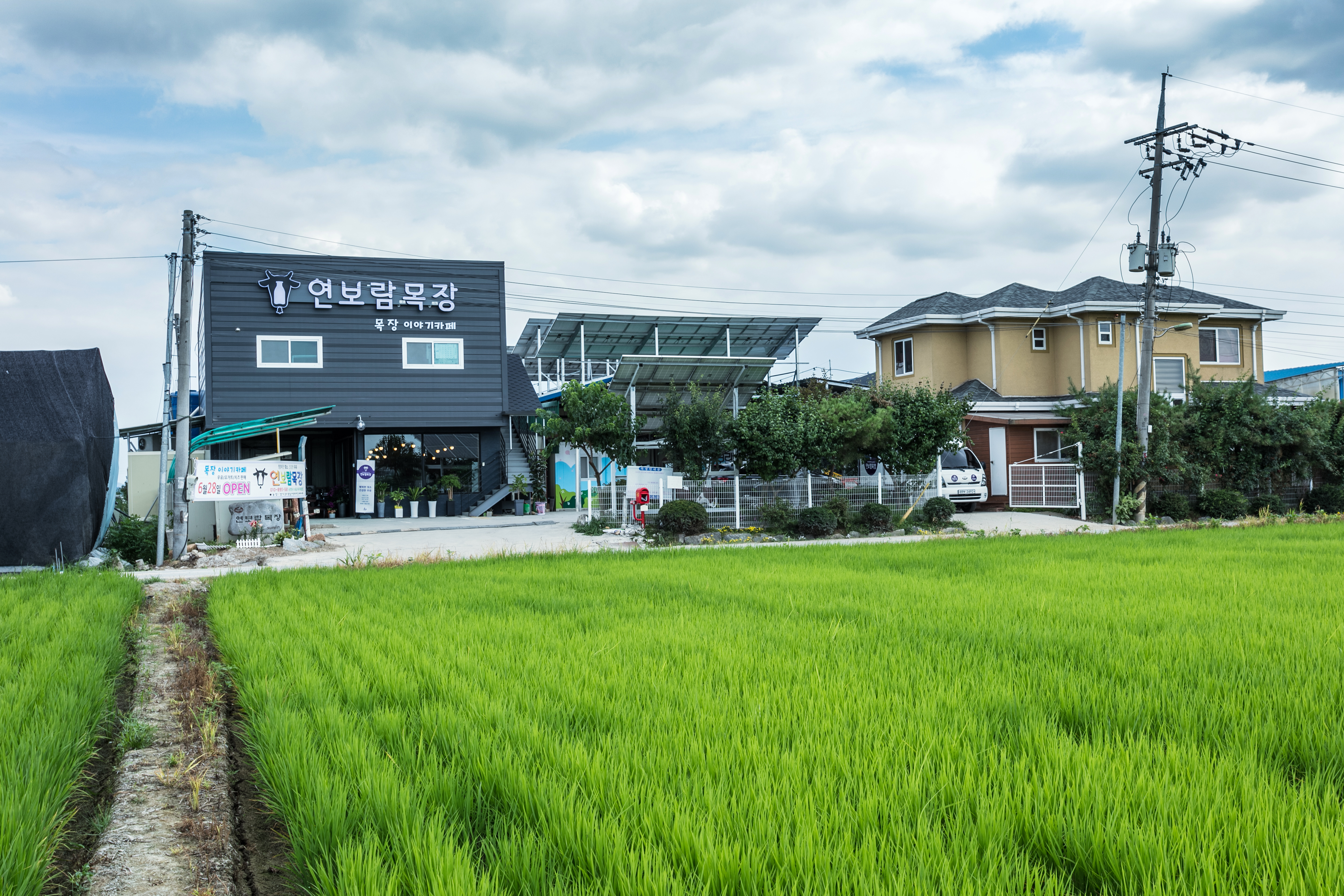 신김포농협로컬푸드 이미지