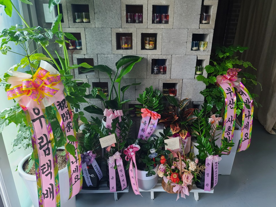 미우테라피 대표 이미지