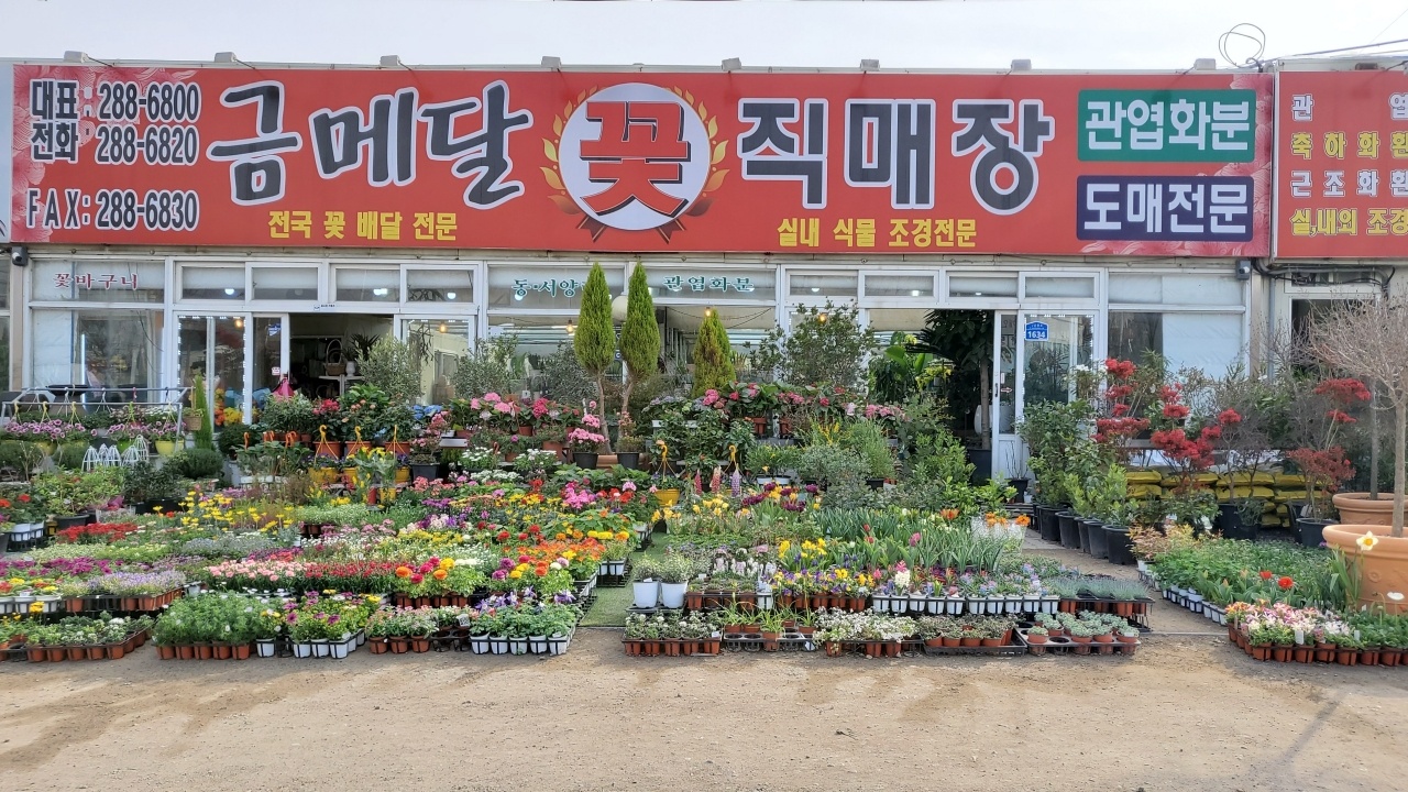 금메달꽃직매장