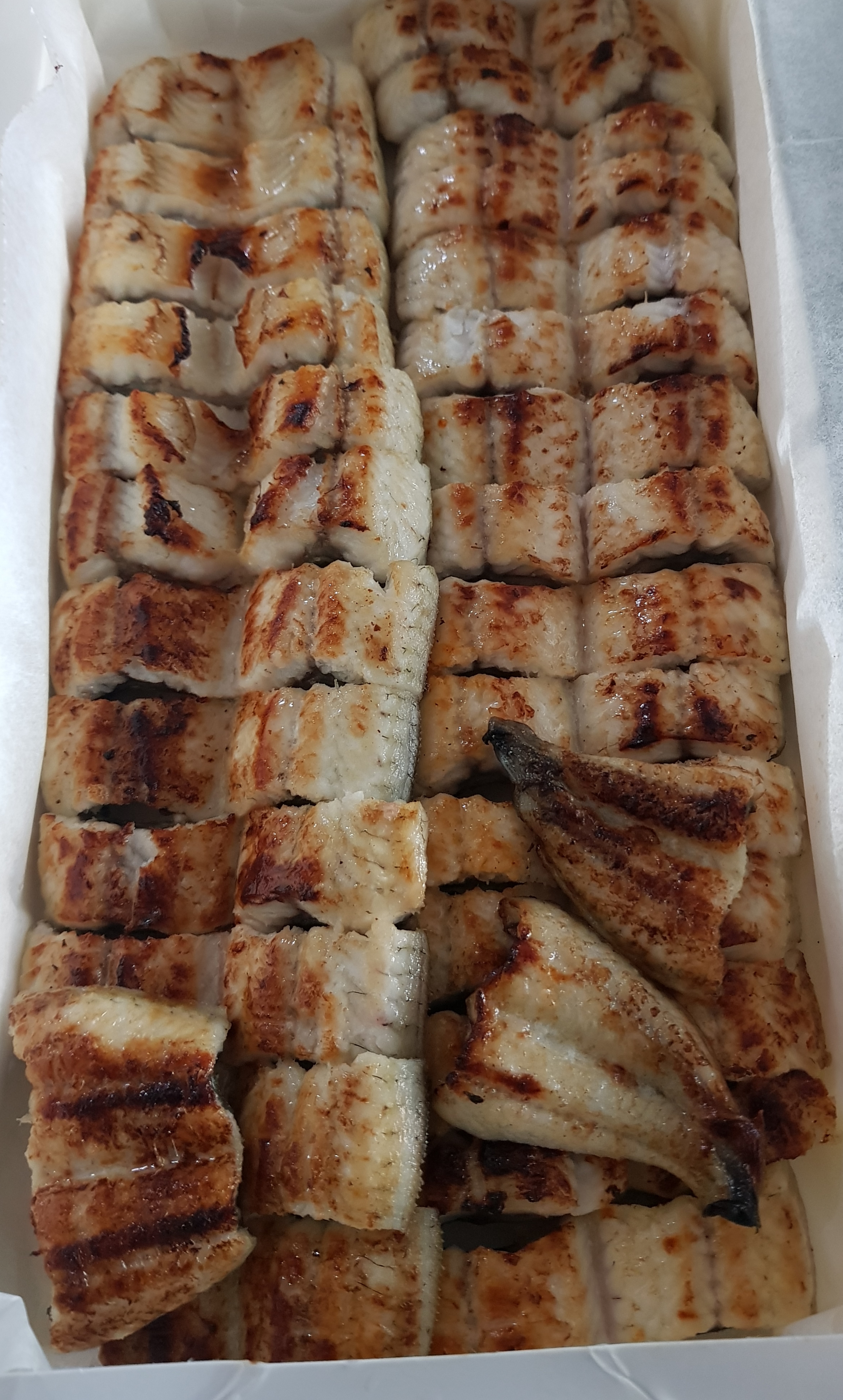 선어대 수산 민물장어