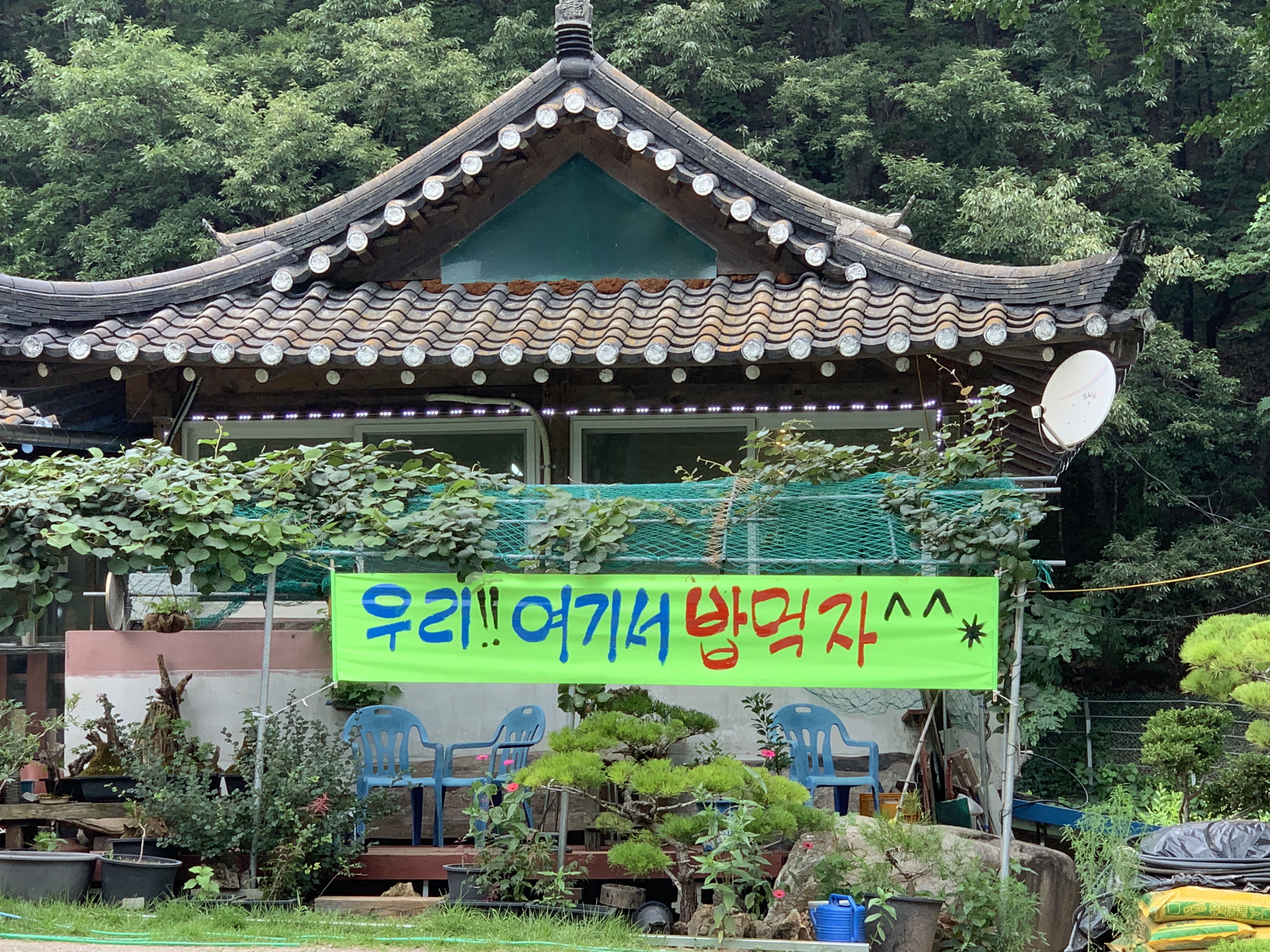 고무릉식당