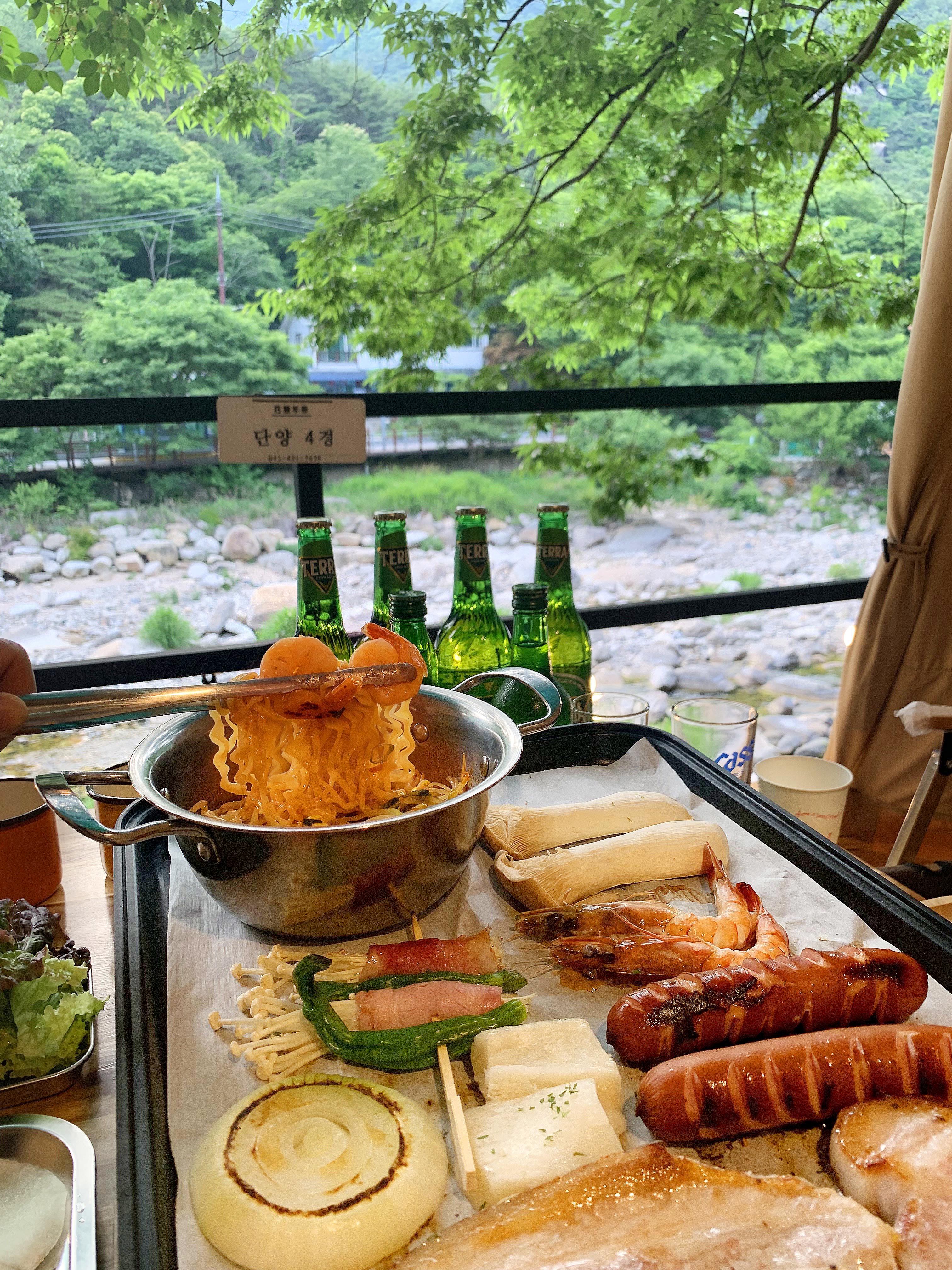 단양연화 충청 애견맛집