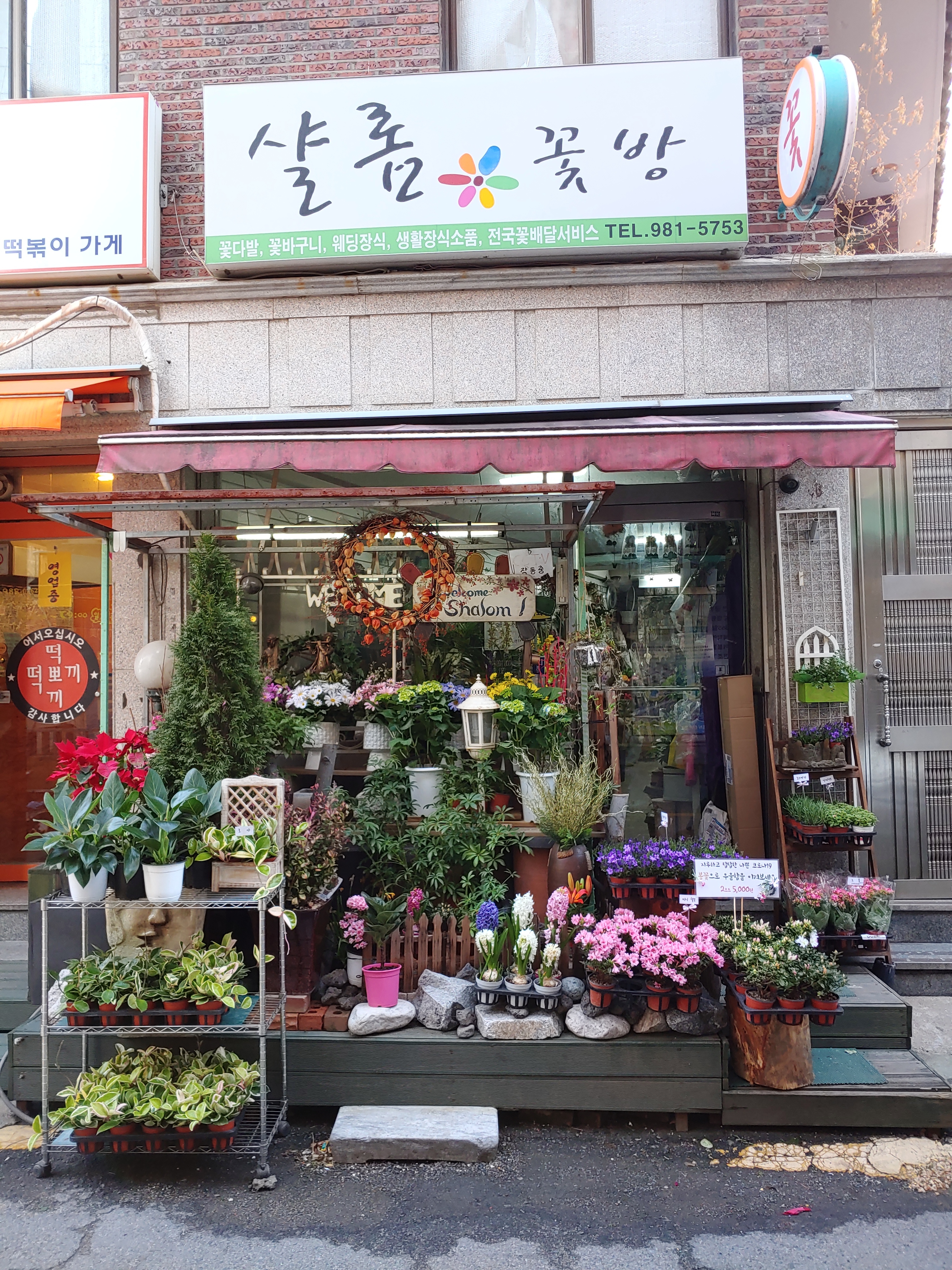 샬롬꽃방