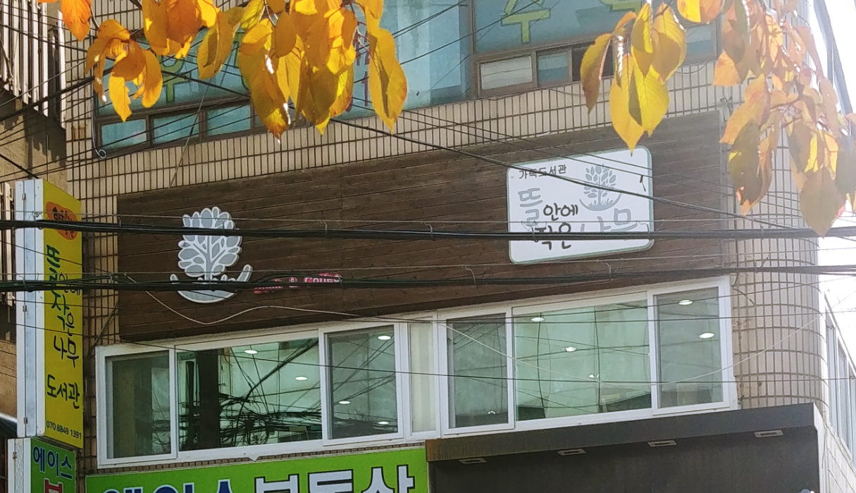 뜰안에작은나무