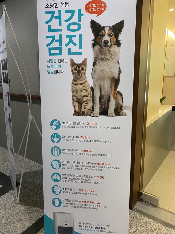 서서동물의료센터 대표 이미지