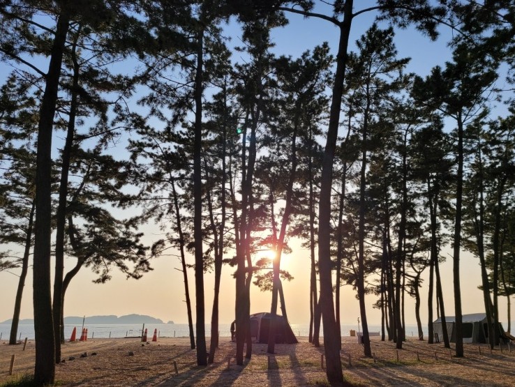 마검포힐링캠핑장
