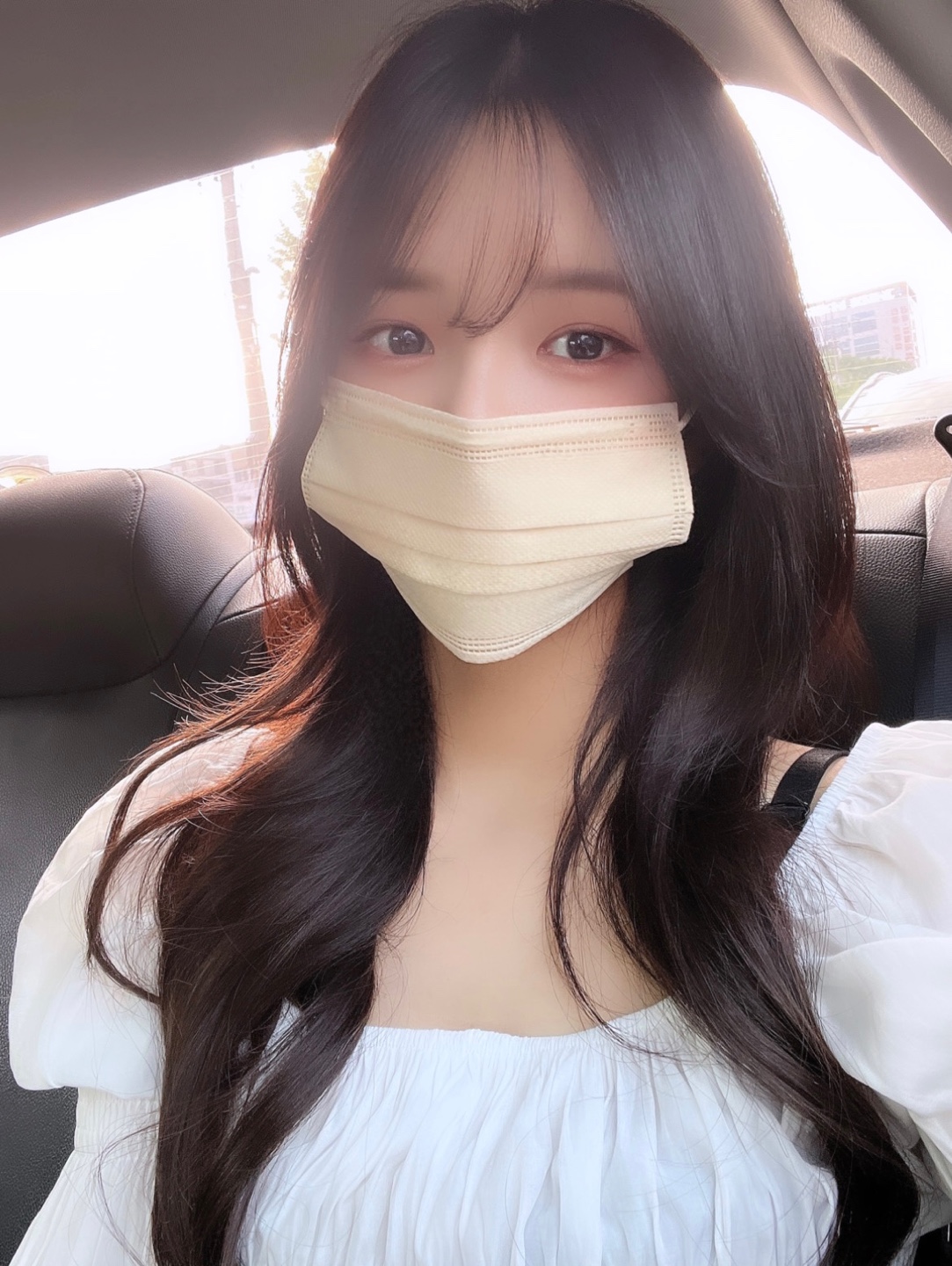 플랜비헤어
