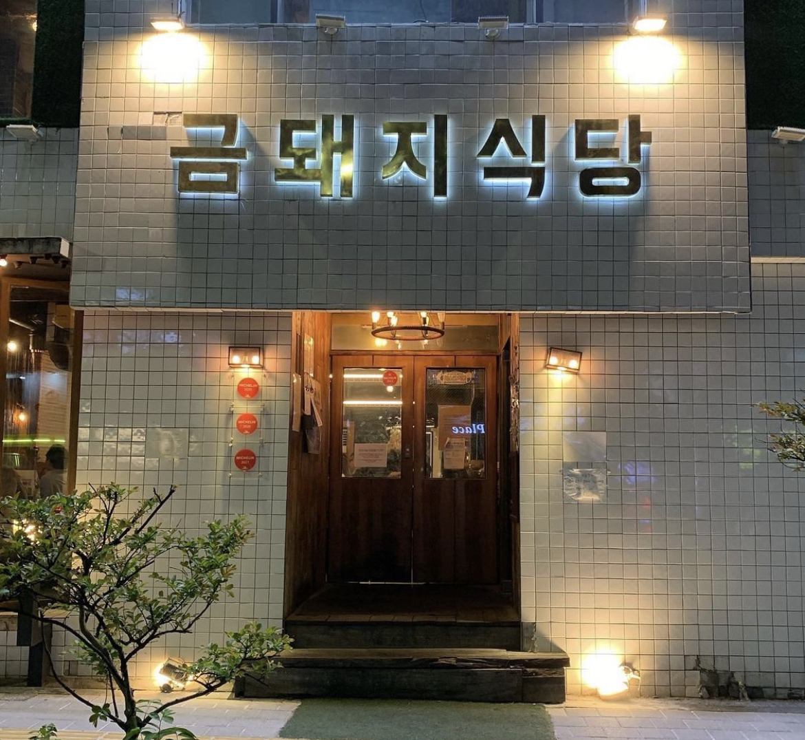 금호돼지 이미지