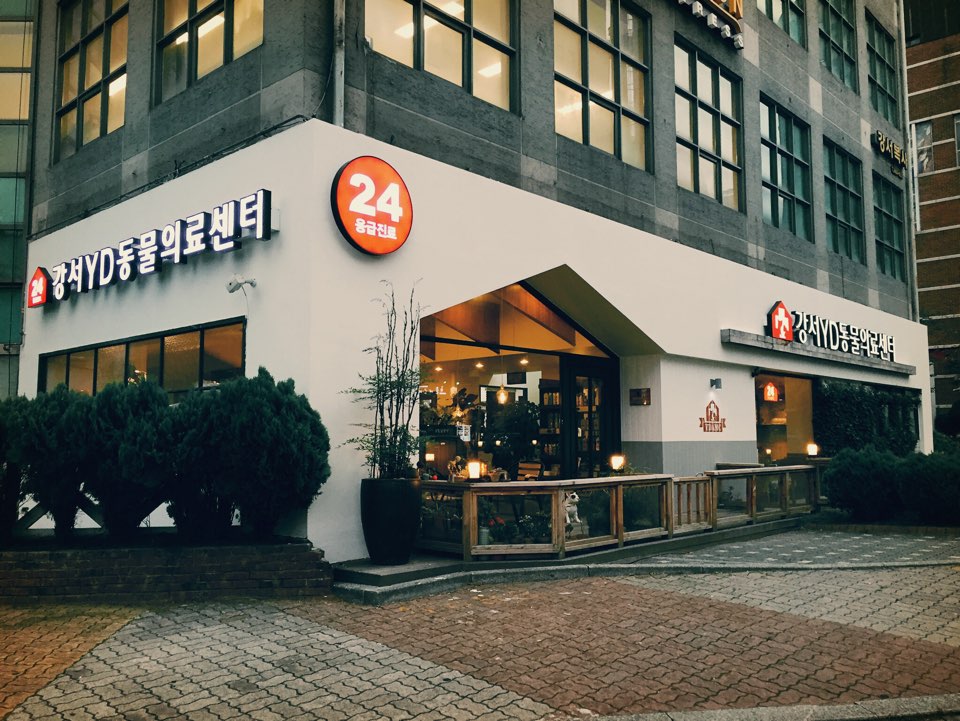 강서YD동물의료센터