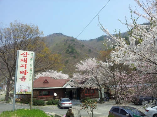 산돼지마을