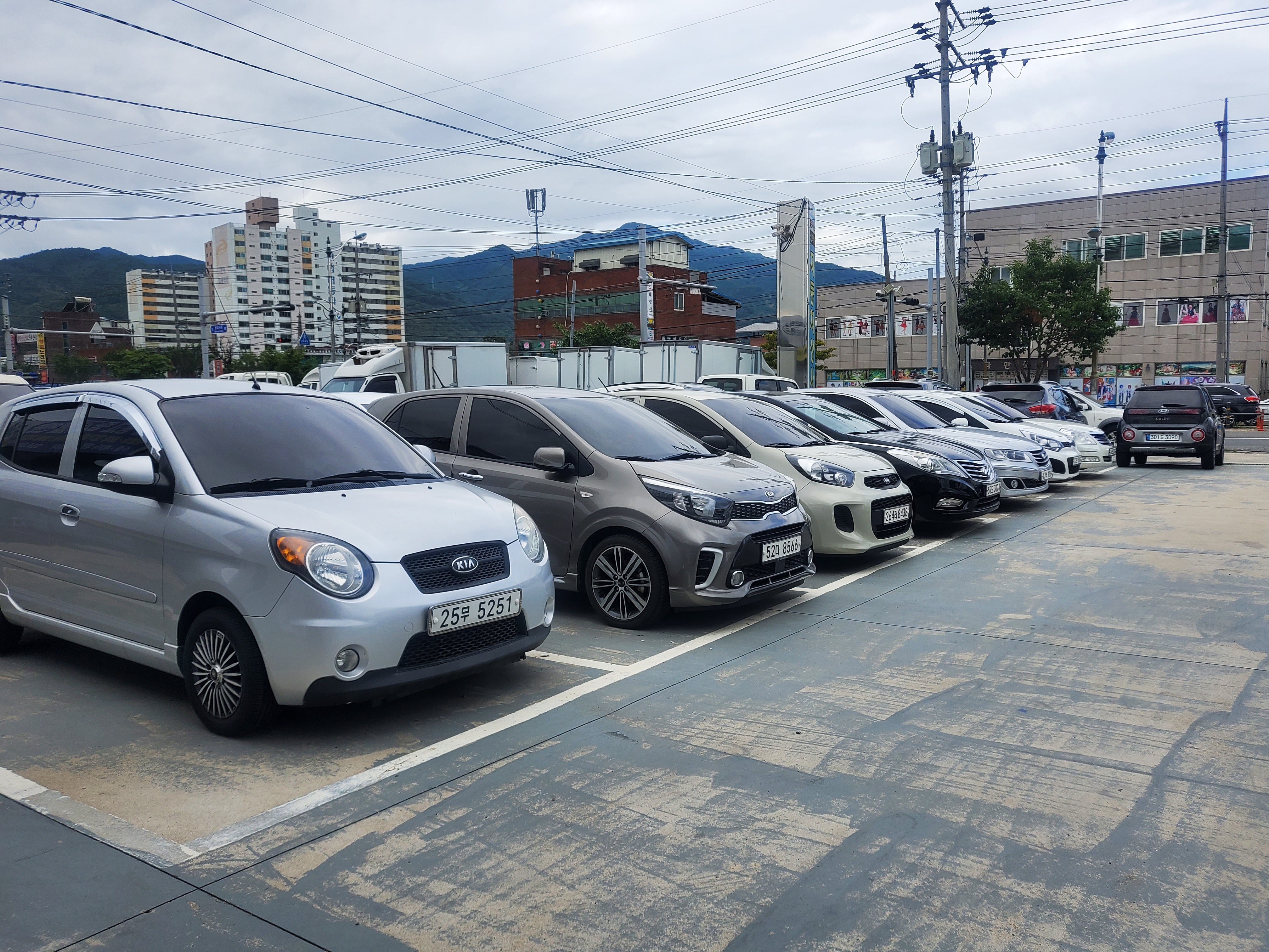 태양자동차상사 대표 이미지