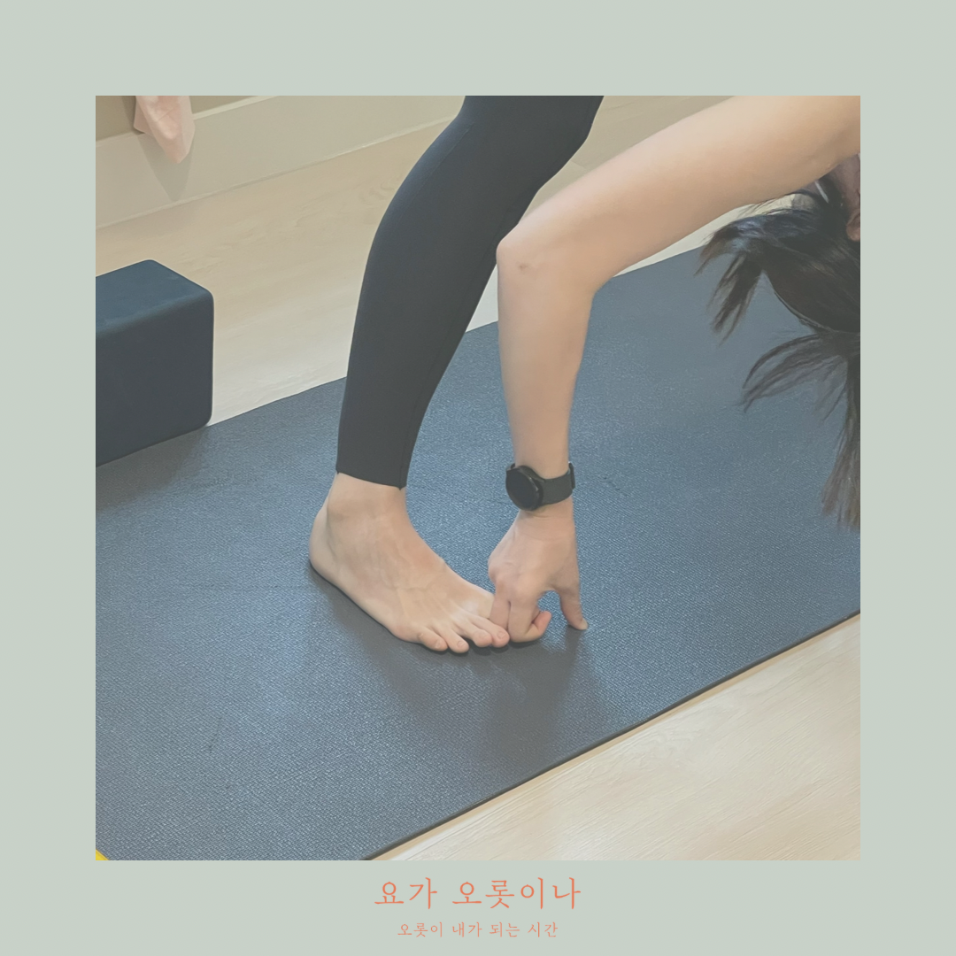 요가 오롯이나 대표 이미지