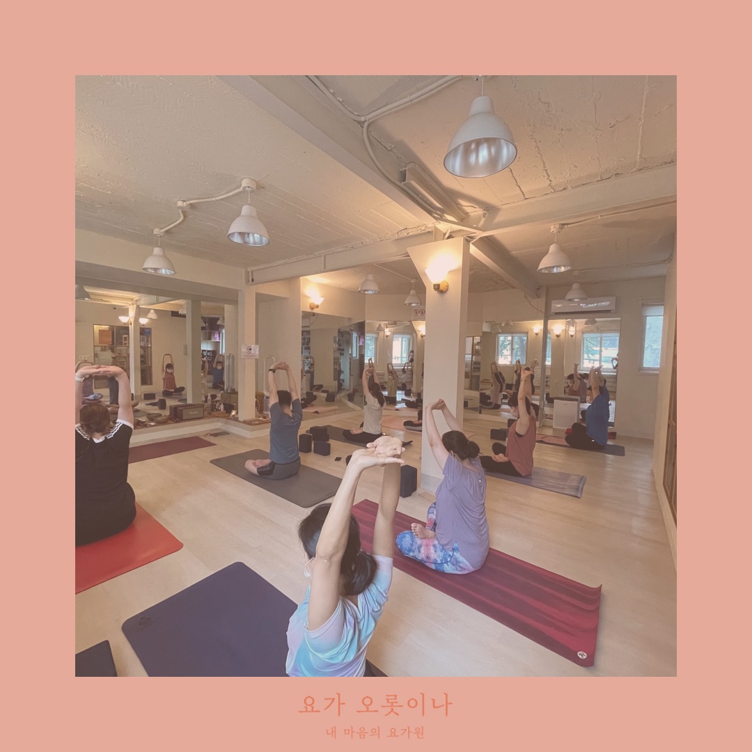 요가 오롯이나 대표 이미지