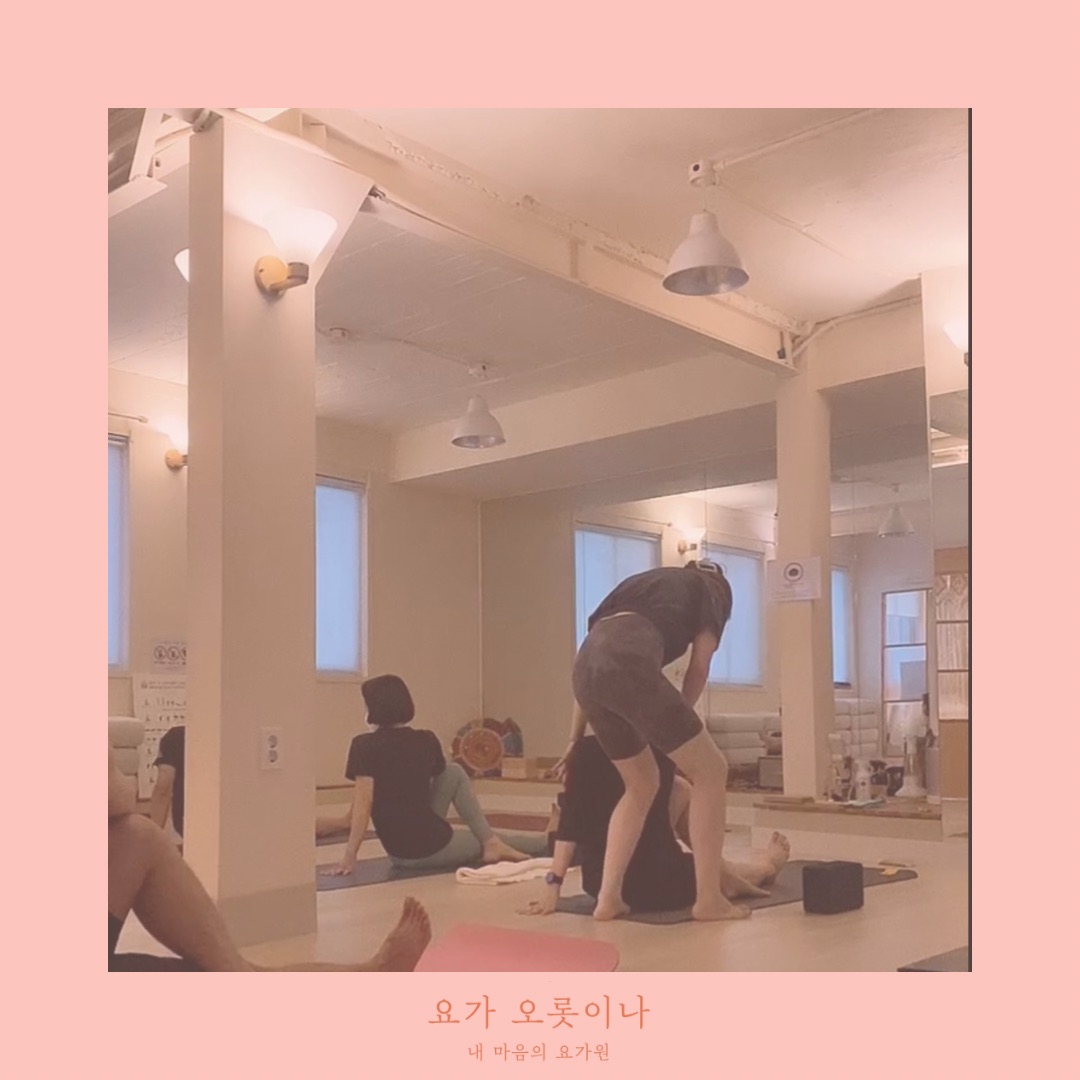 요가 오롯이나 대표 이미지