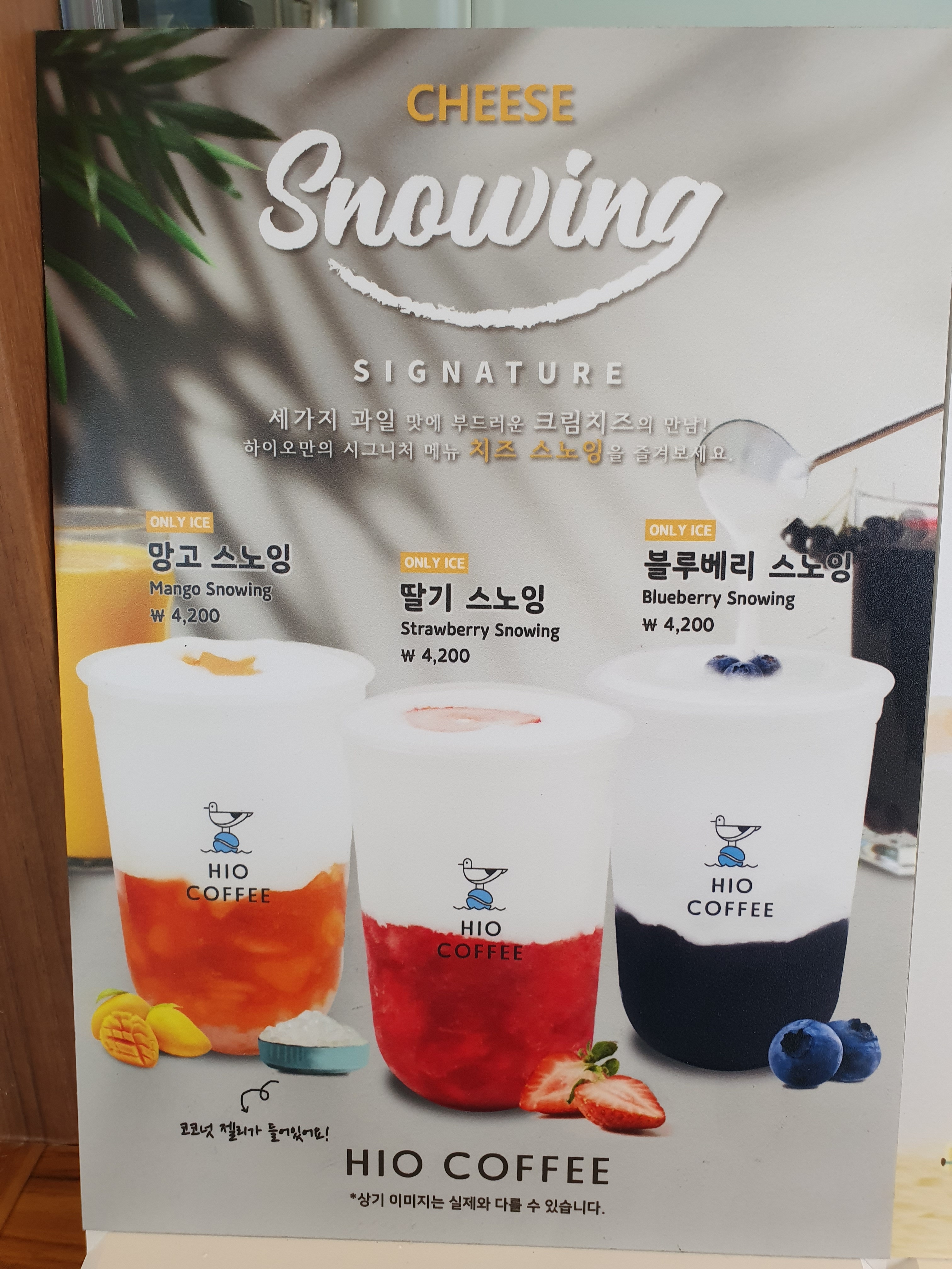 하이오커피 모라역점 반려동물 동반 애견카페