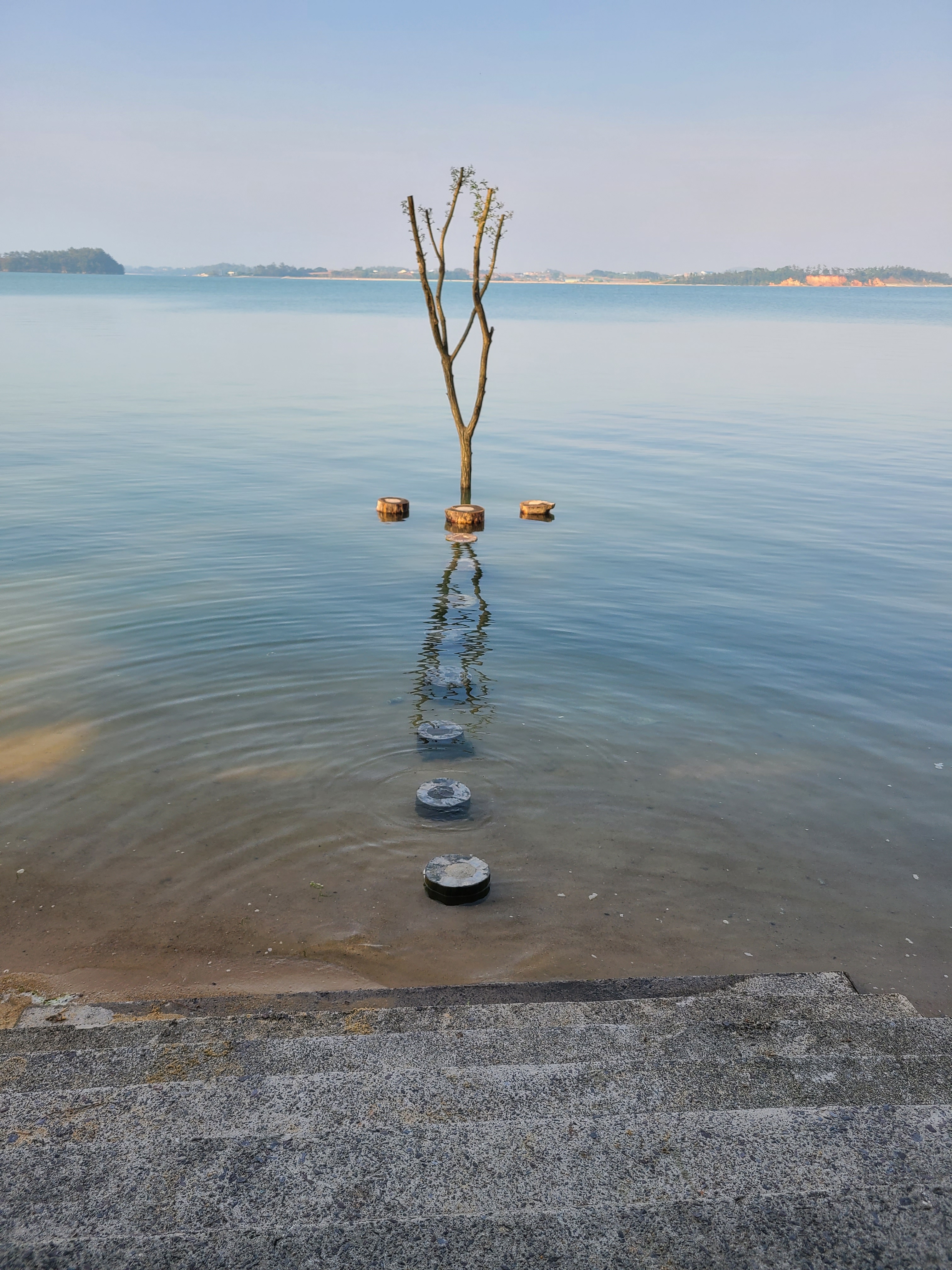 수보라횟집 3