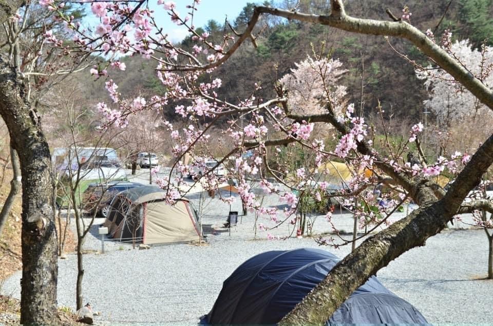 행복한나드리캠핑장