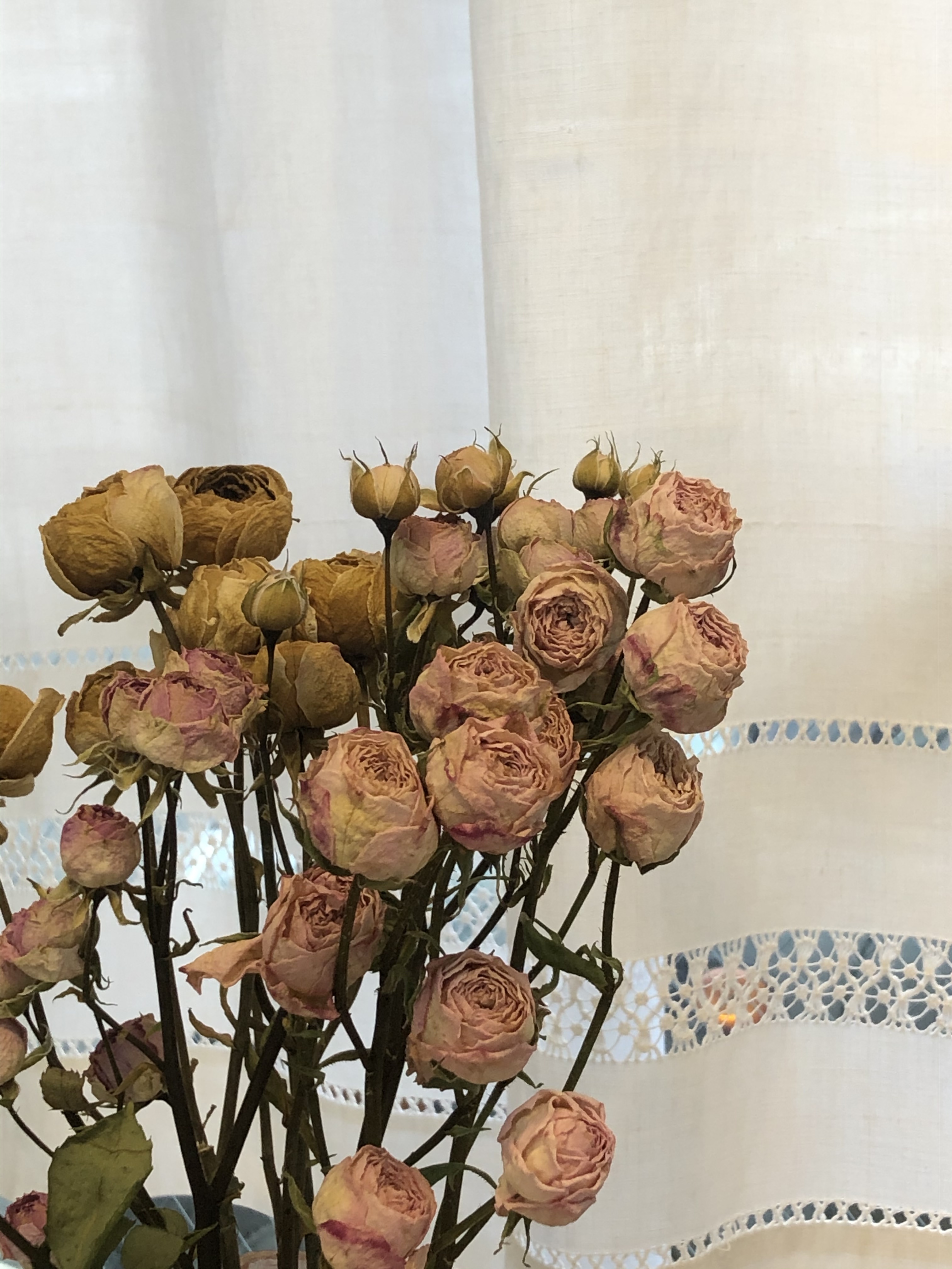 드프로방스 대표 이미지