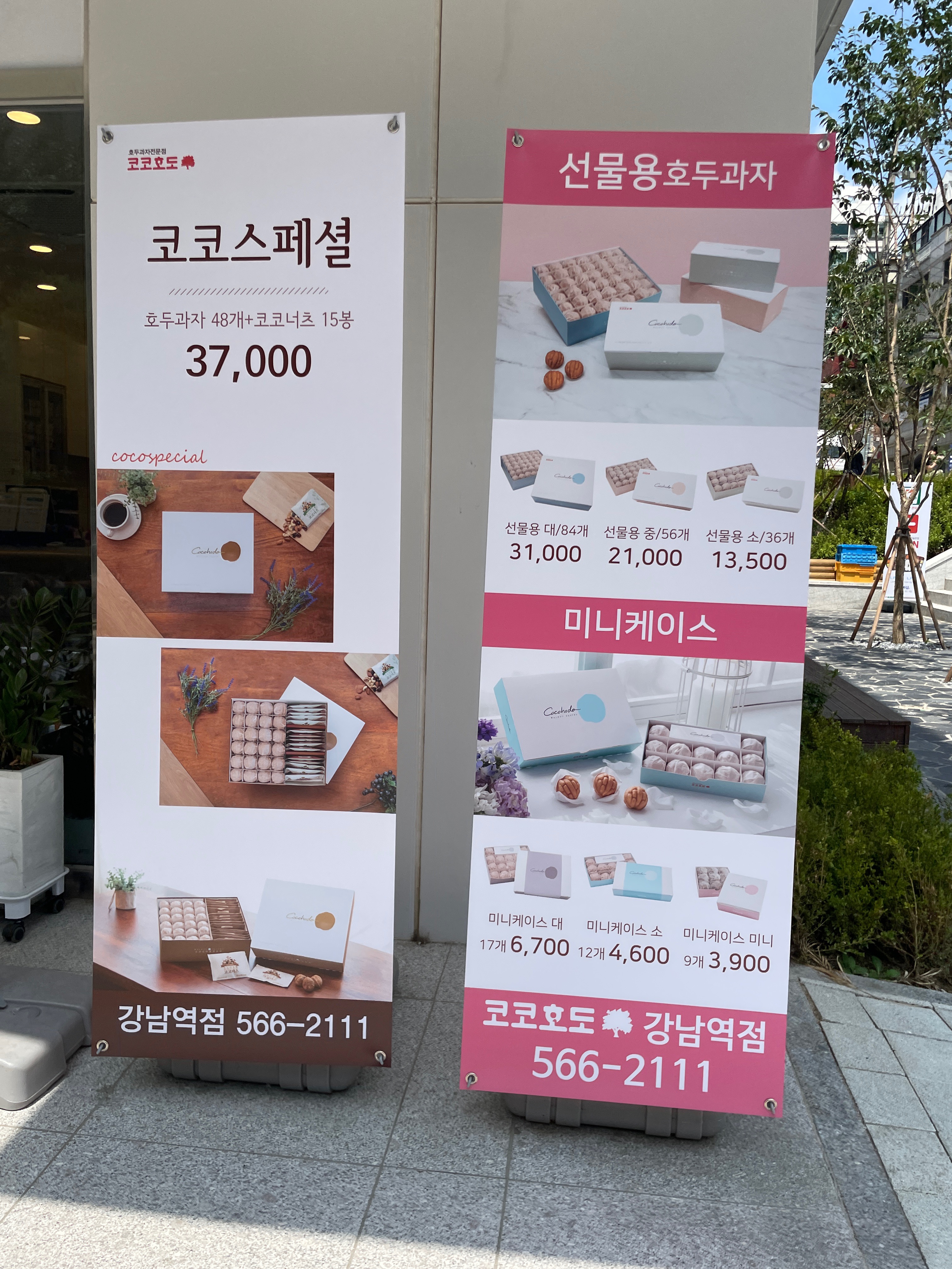 코코호도 강남역점