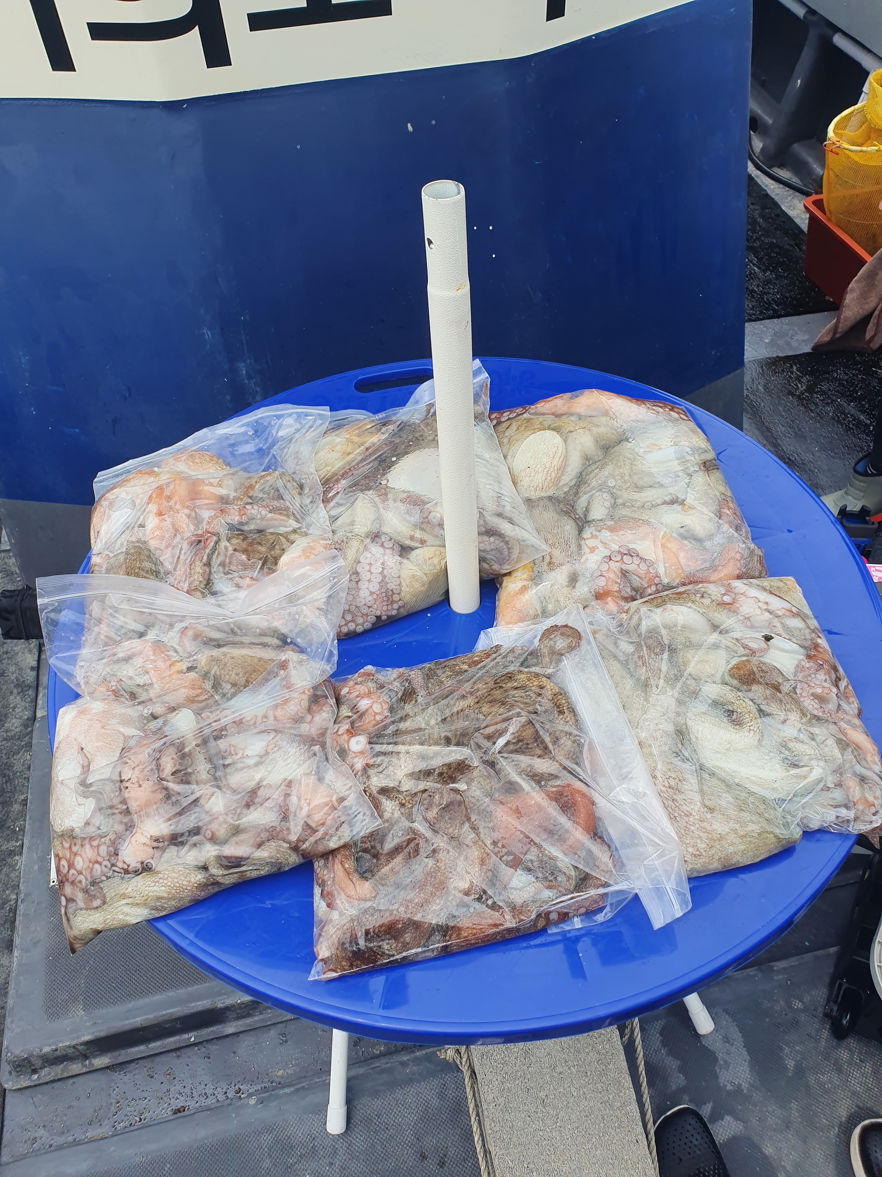 삼천포 여의도호