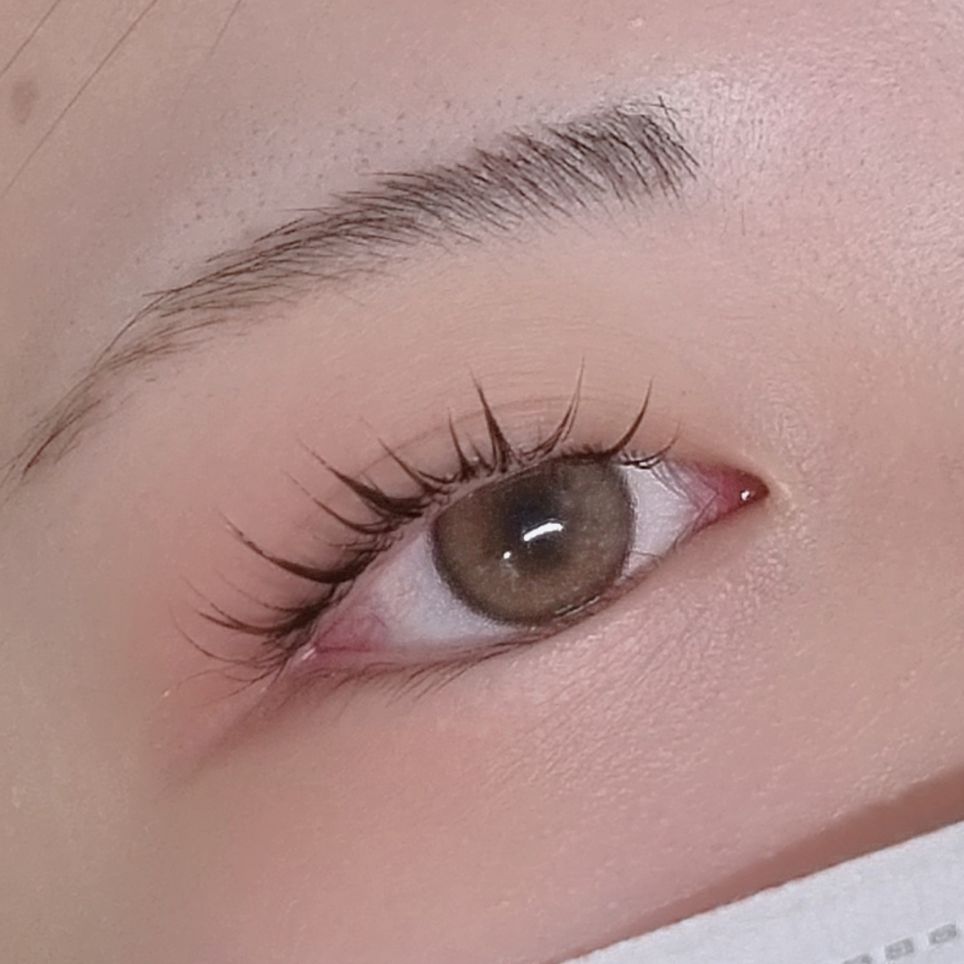 브로우제니아르 양주옥정점