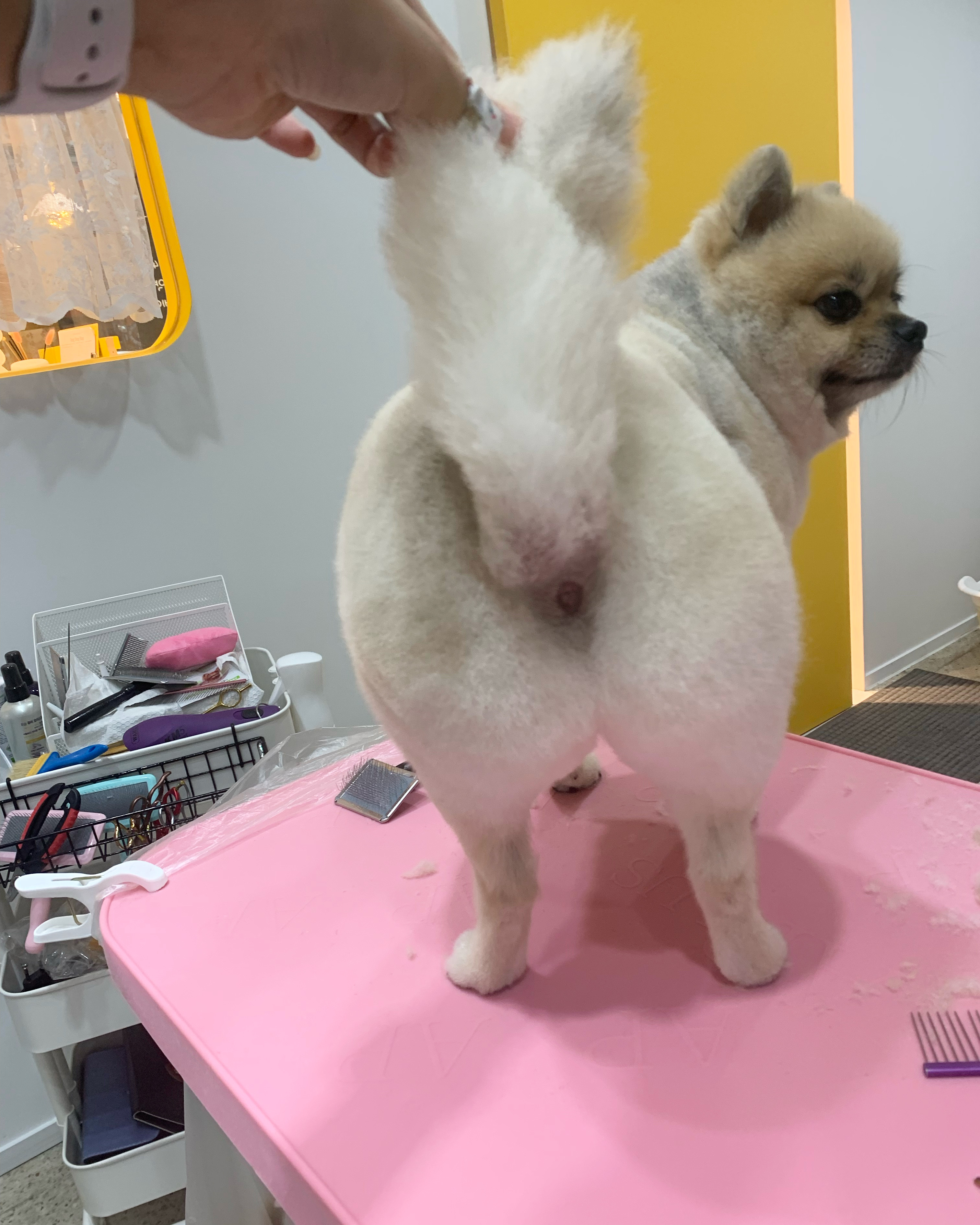 사진 3