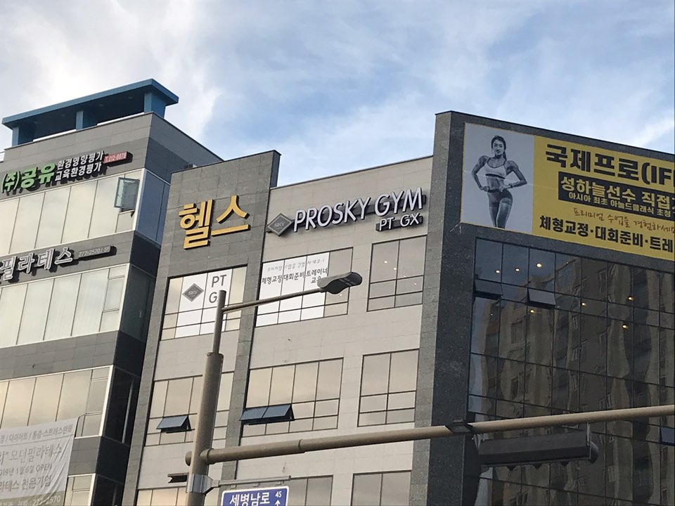 프로스카이짐