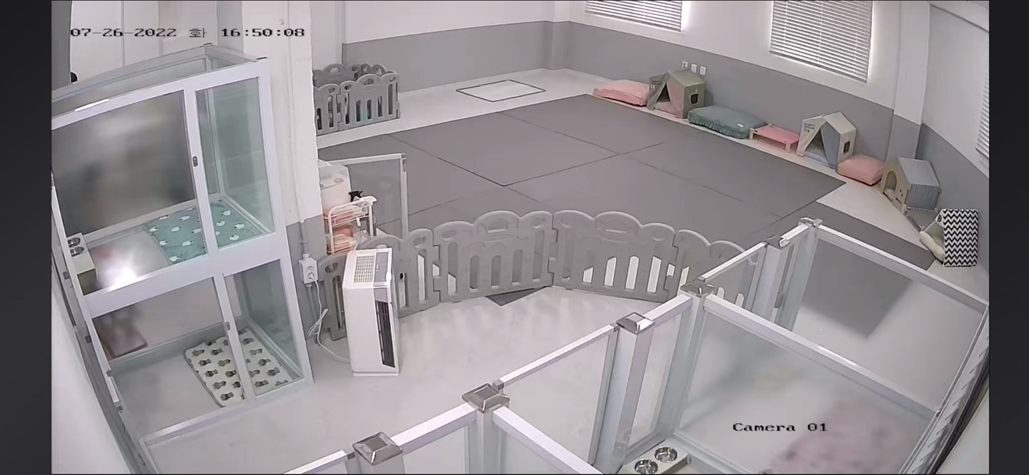 멍캉스 대표 이미지