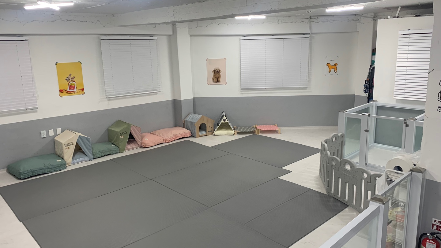 멍캉스 대표 이미지