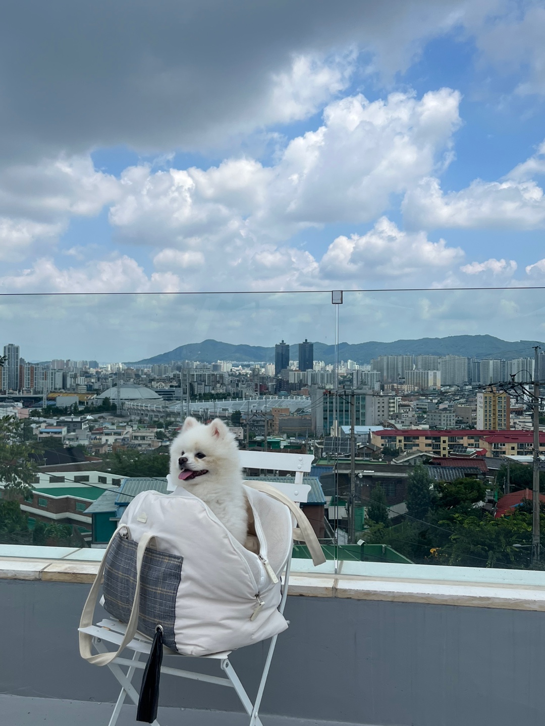 점선면