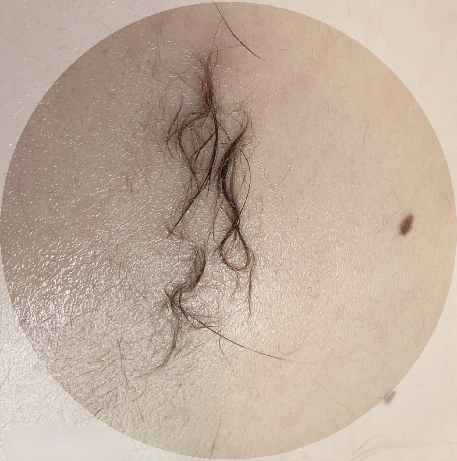 위즈뷰 대표 이미지