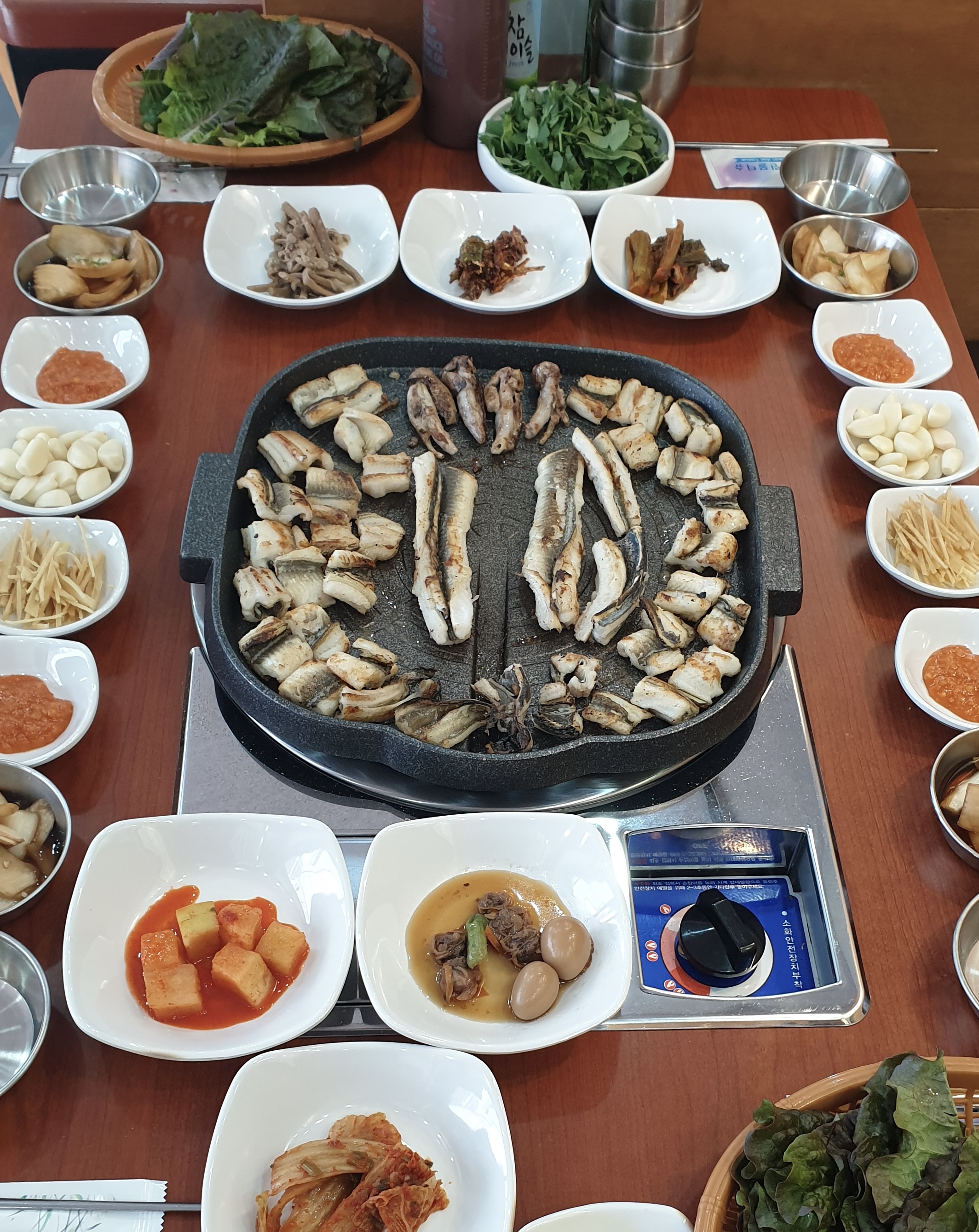 대양장어
