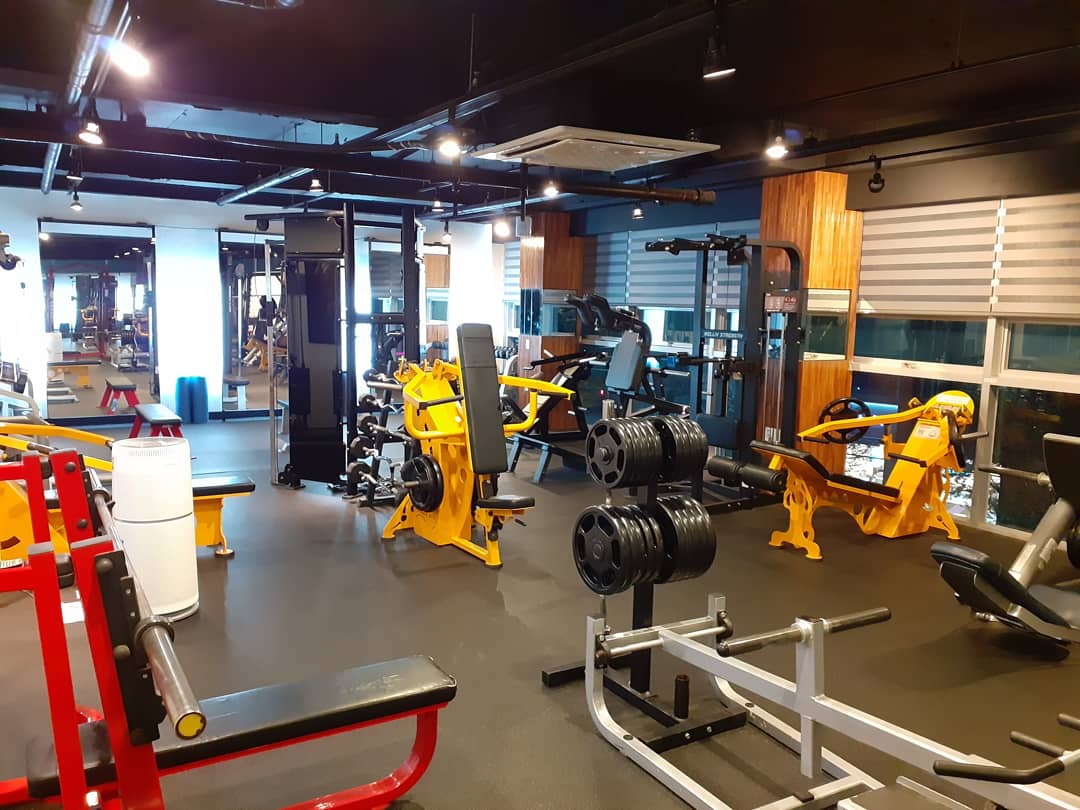 머슬짐 대표 이미지