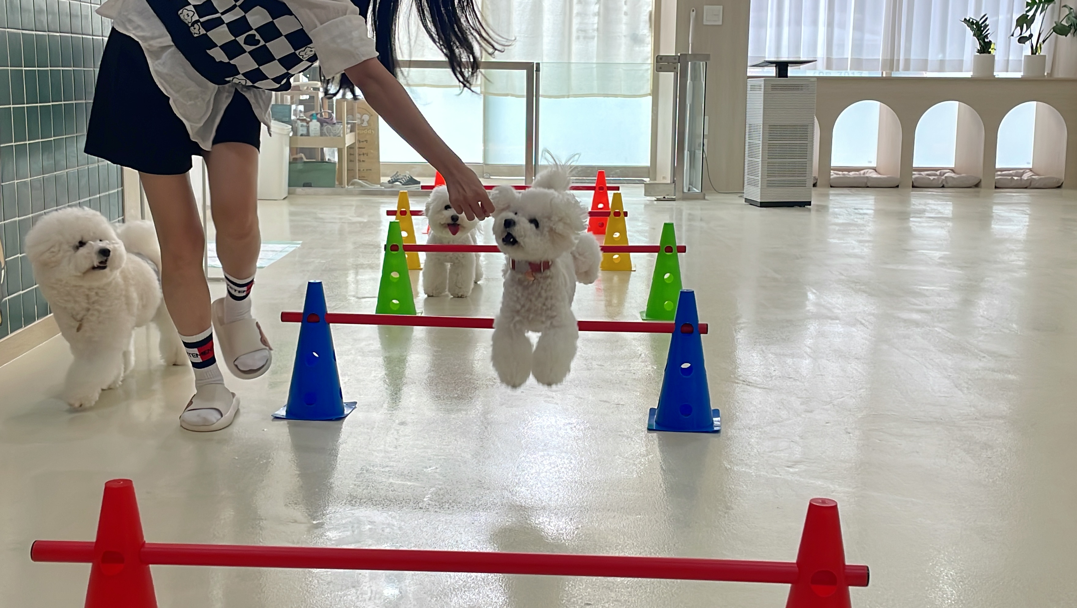 헤이버디