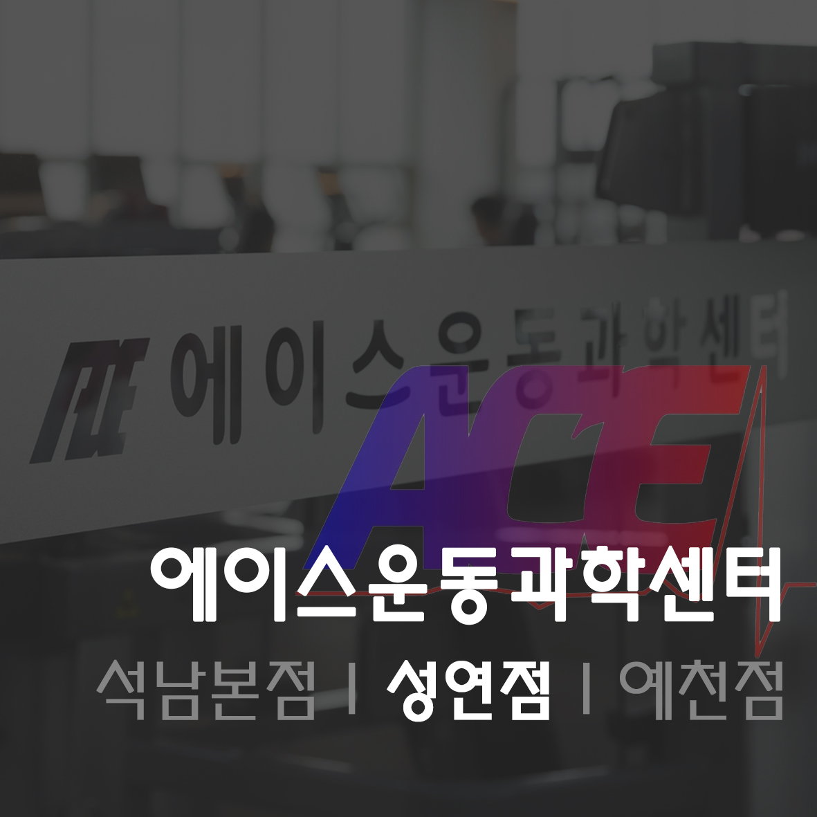 에이스운동과학센터 헬스 & PT 성연점