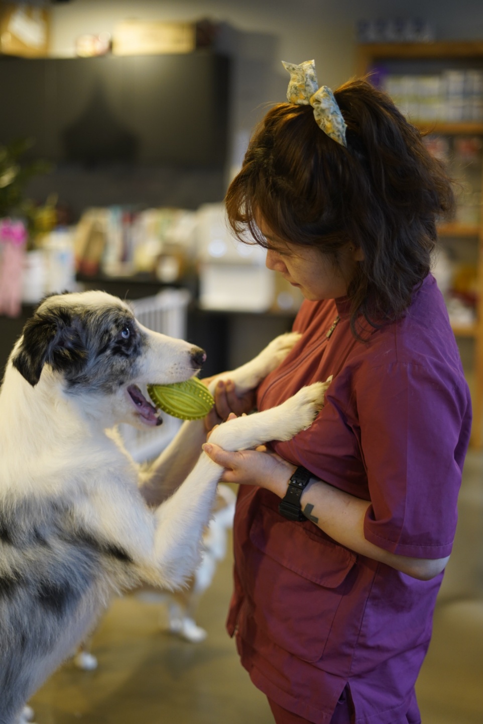 개st 하우스 대표 이미지