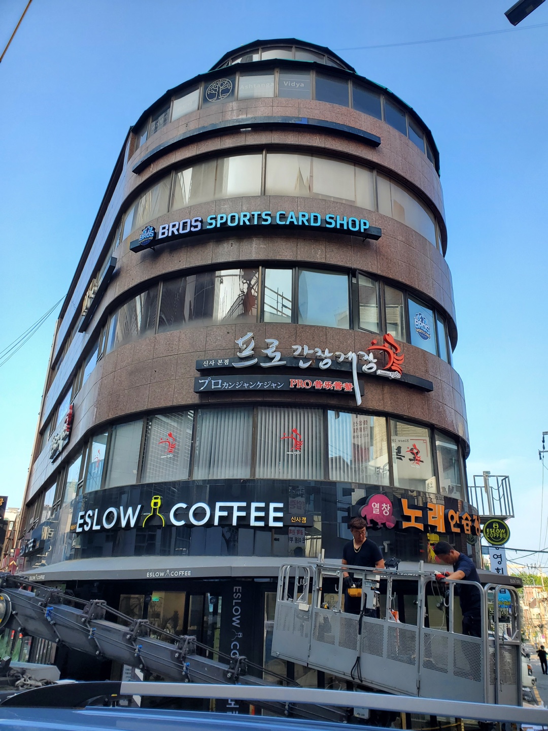 키위컬렉터블스