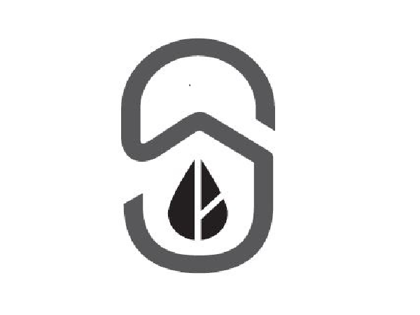 시더스
