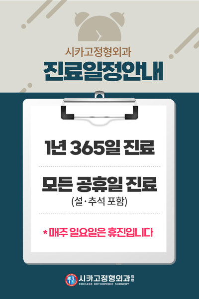 시카고