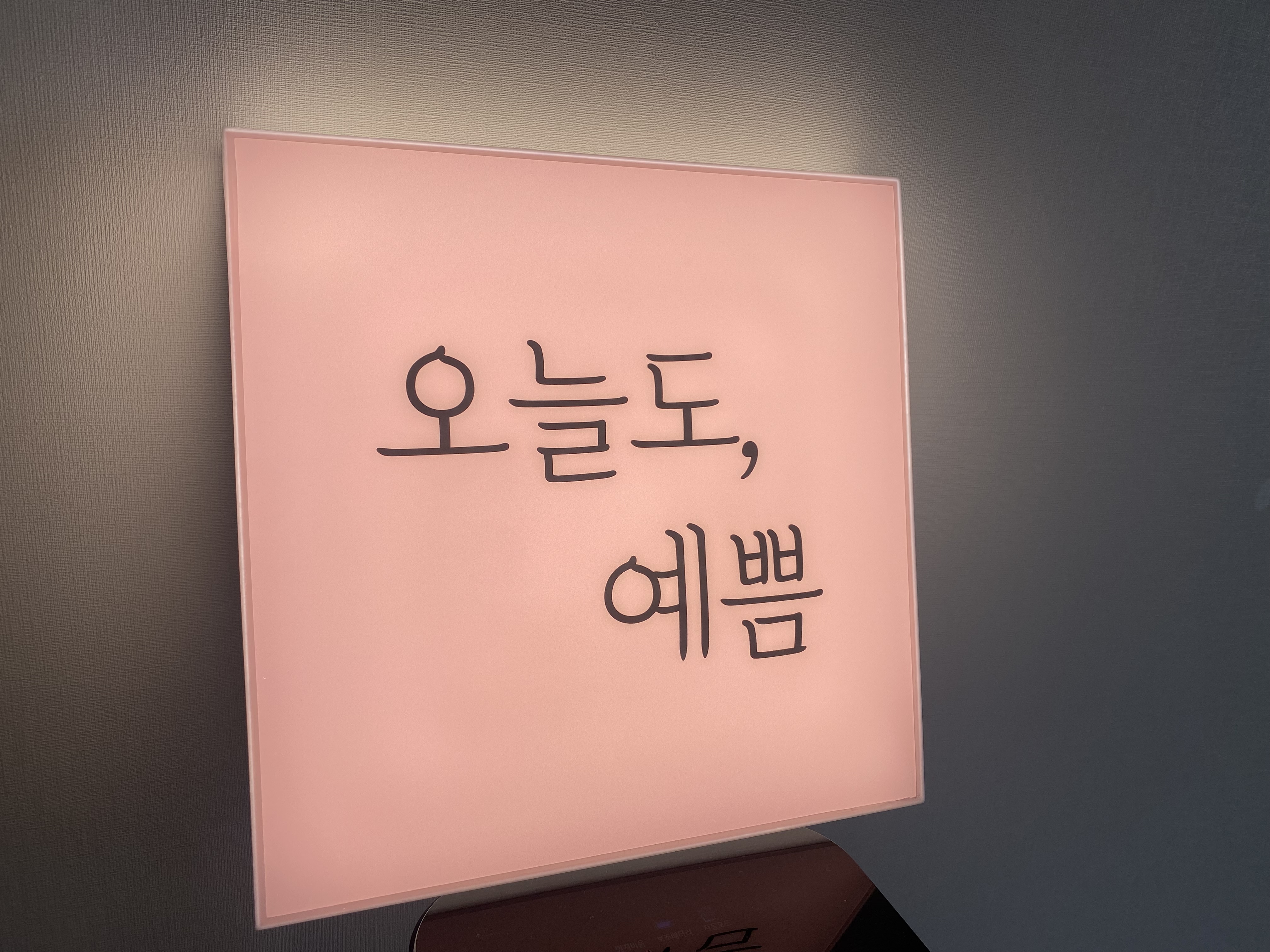 오늘도예쁨