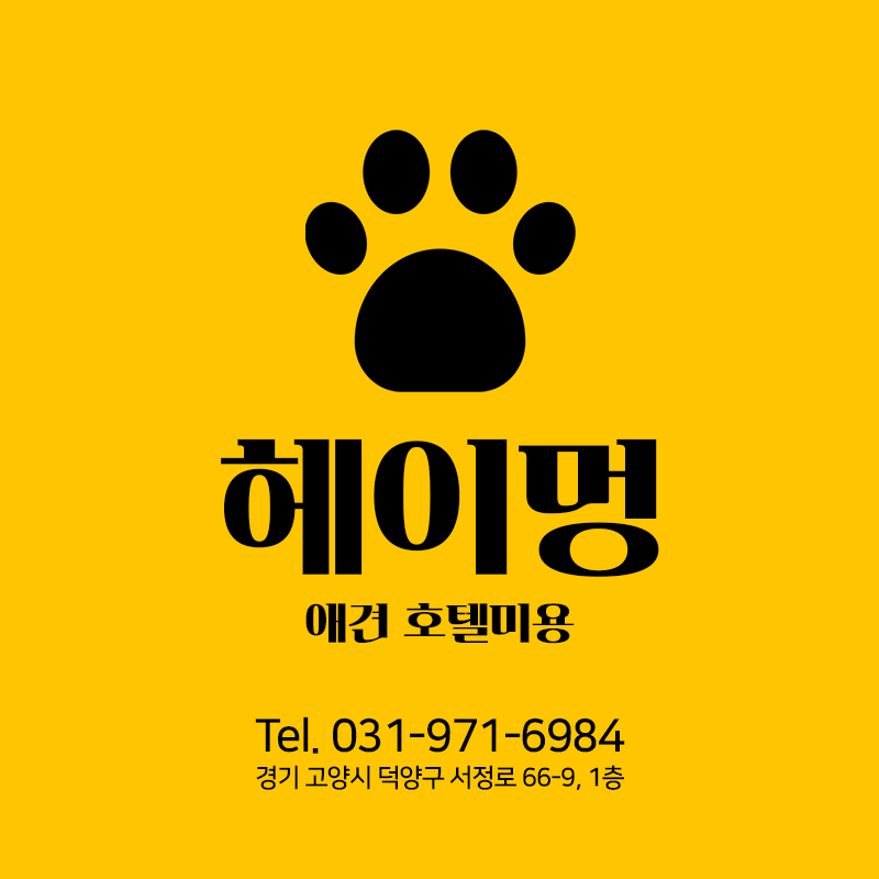 헤이멍애견호텔미용