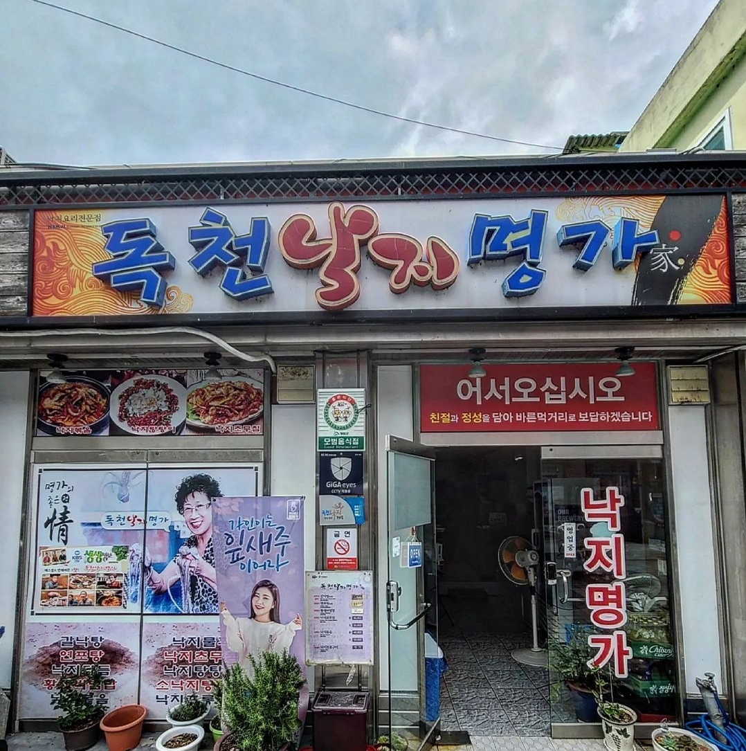 독천낙지명가