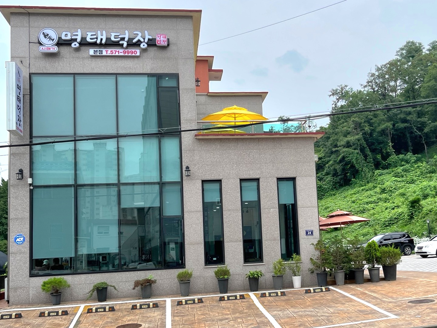 명태덕장 본점