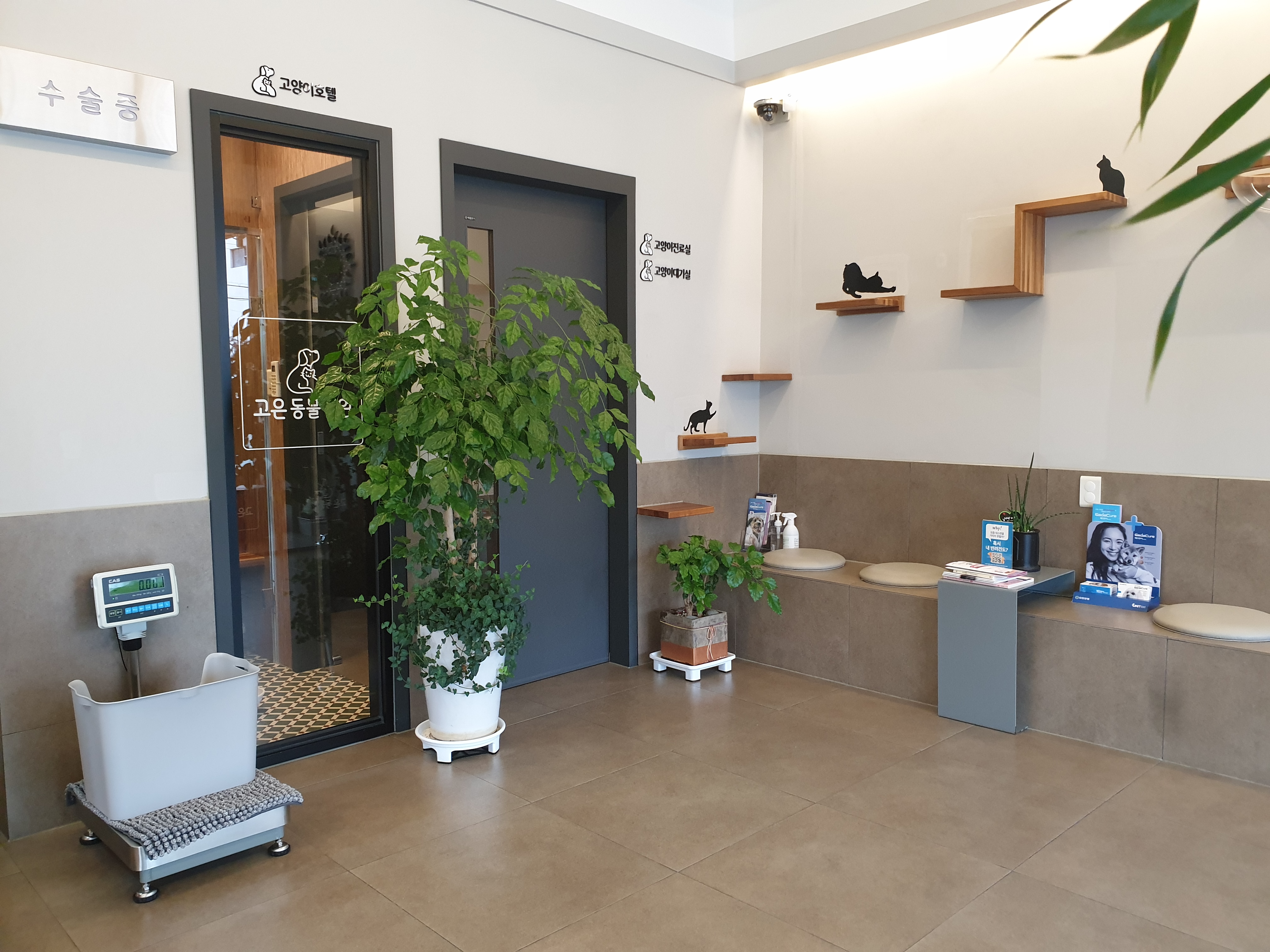 고은동물병원 대표 이미지