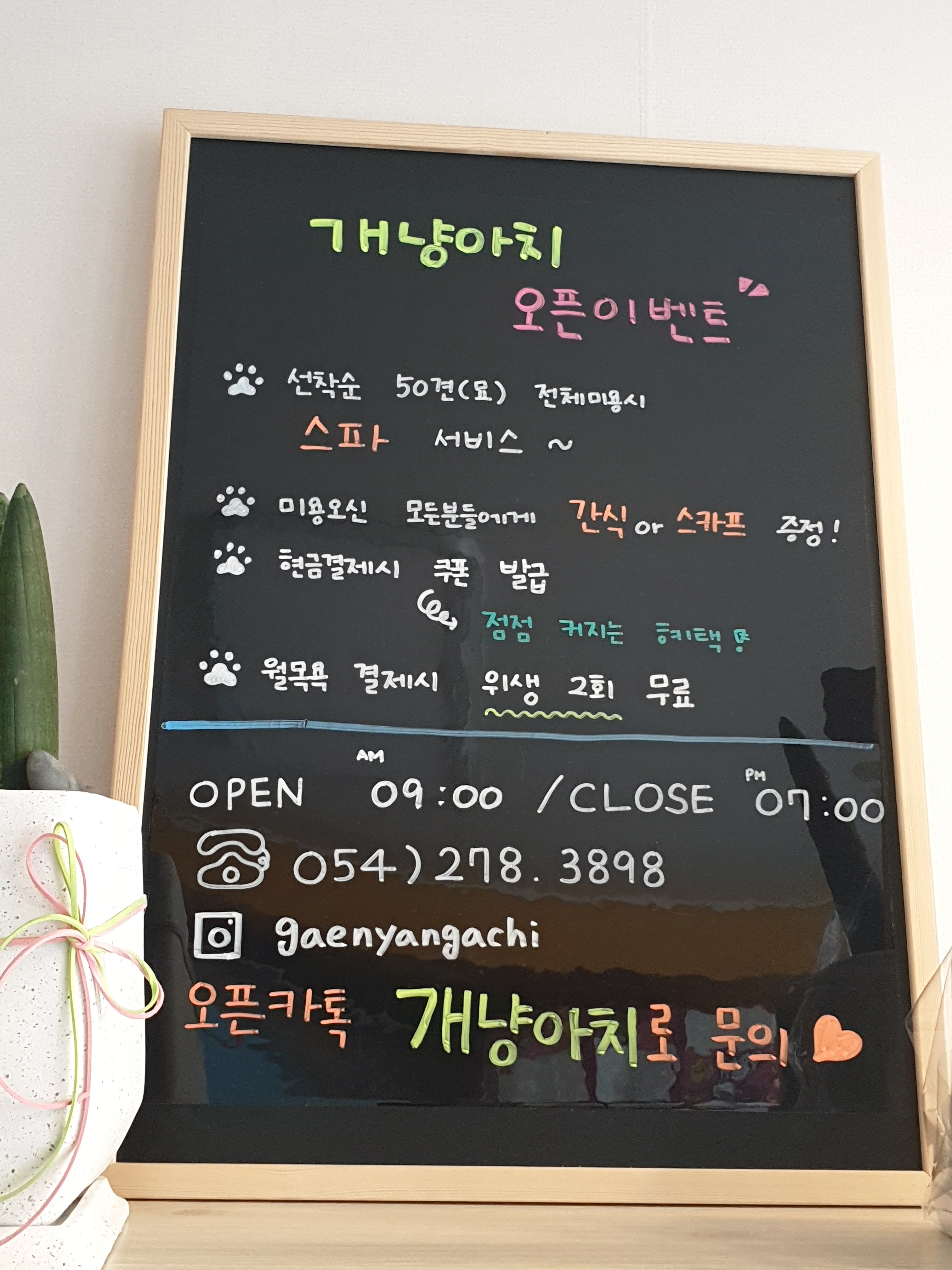 개냥아치 대표 이미지